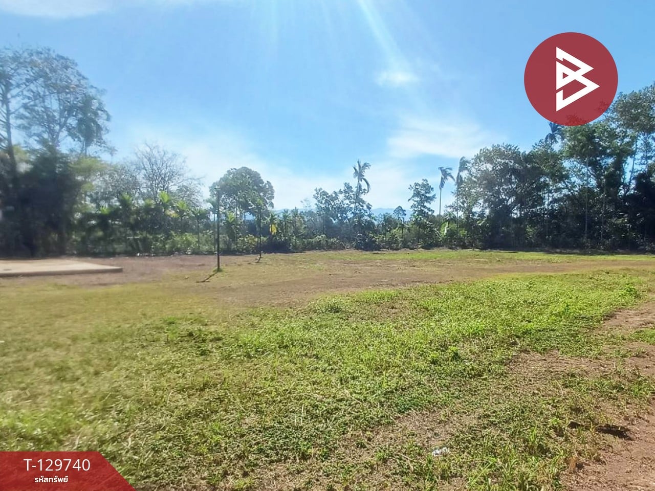 ขายที่ดิน เนื้อที่ 3 ไร่ 1 งาน 24 ตร.วา แสลง จันทบุรี 1