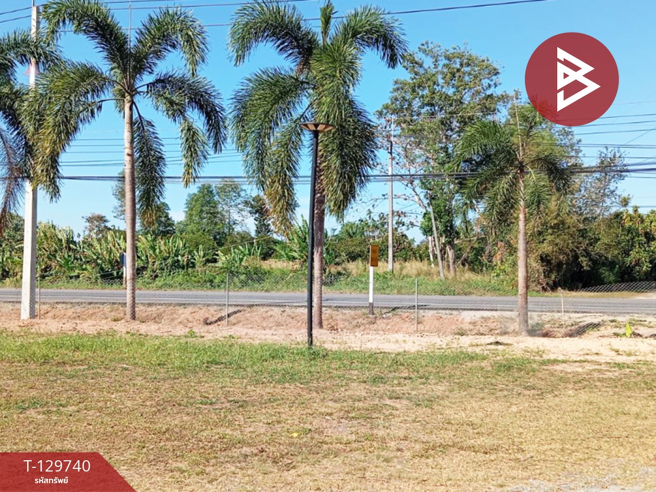 ขายที่ดิน เนื้อที่ 3 ไร่ 1 งาน 24 ตร.วา แสลง จันทบุรี 2