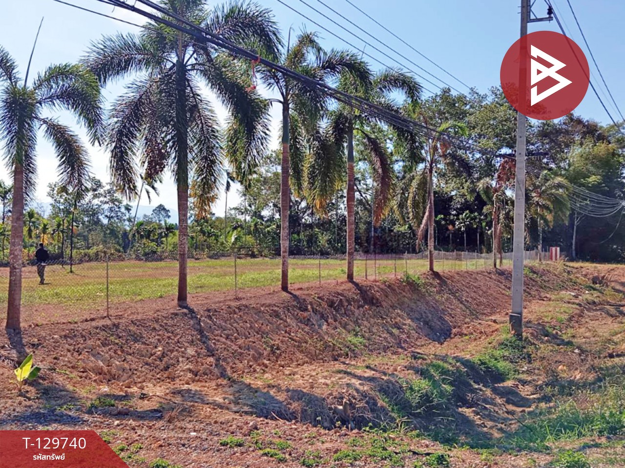 ขายที่ดิน เนื้อที่ 3 ไร่ 1 งาน 24 ตร.วา แสลง จันทบุรี 14