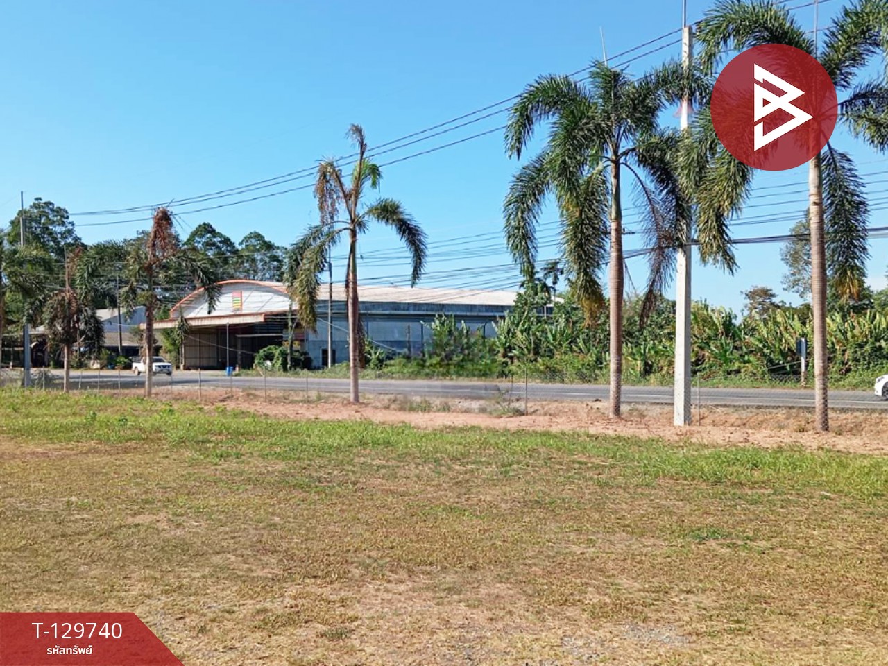 ขายที่ดิน เนื้อที่ 3 ไร่ 1 งาน 24 ตร.วา แสลง จันทบุรี 5