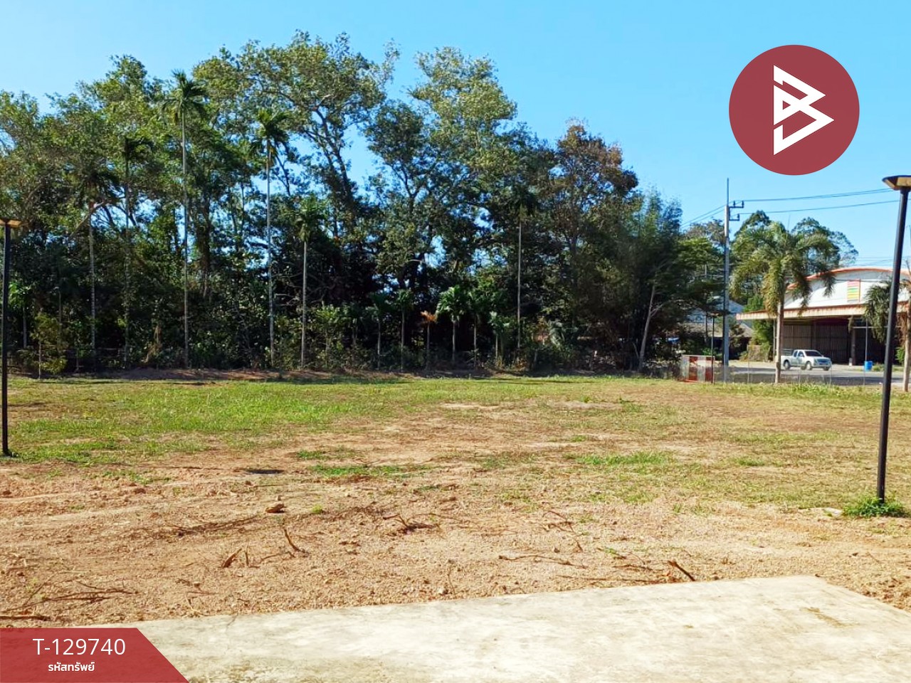 ขายที่ดิน เนื้อที่ 3 ไร่ 1 งาน 24 ตร.วา แสลง จันทบุรี 4