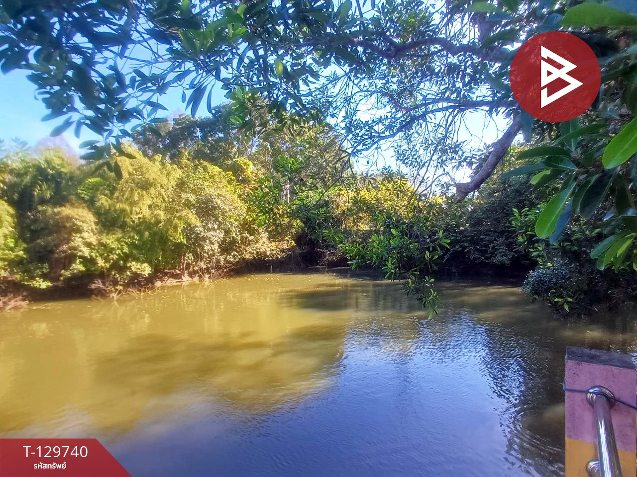 ขายที่ดิน เนื้อที่ 3 ไร่ 1 งาน 24 ตร.วา แสลง จันทบุรี 9