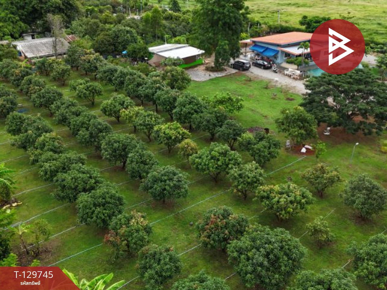 ขายบ้านเดี่ยวพร้อมสวน เนื้อที่ 4 ไร่ โพธาราม ราชบุรี 2