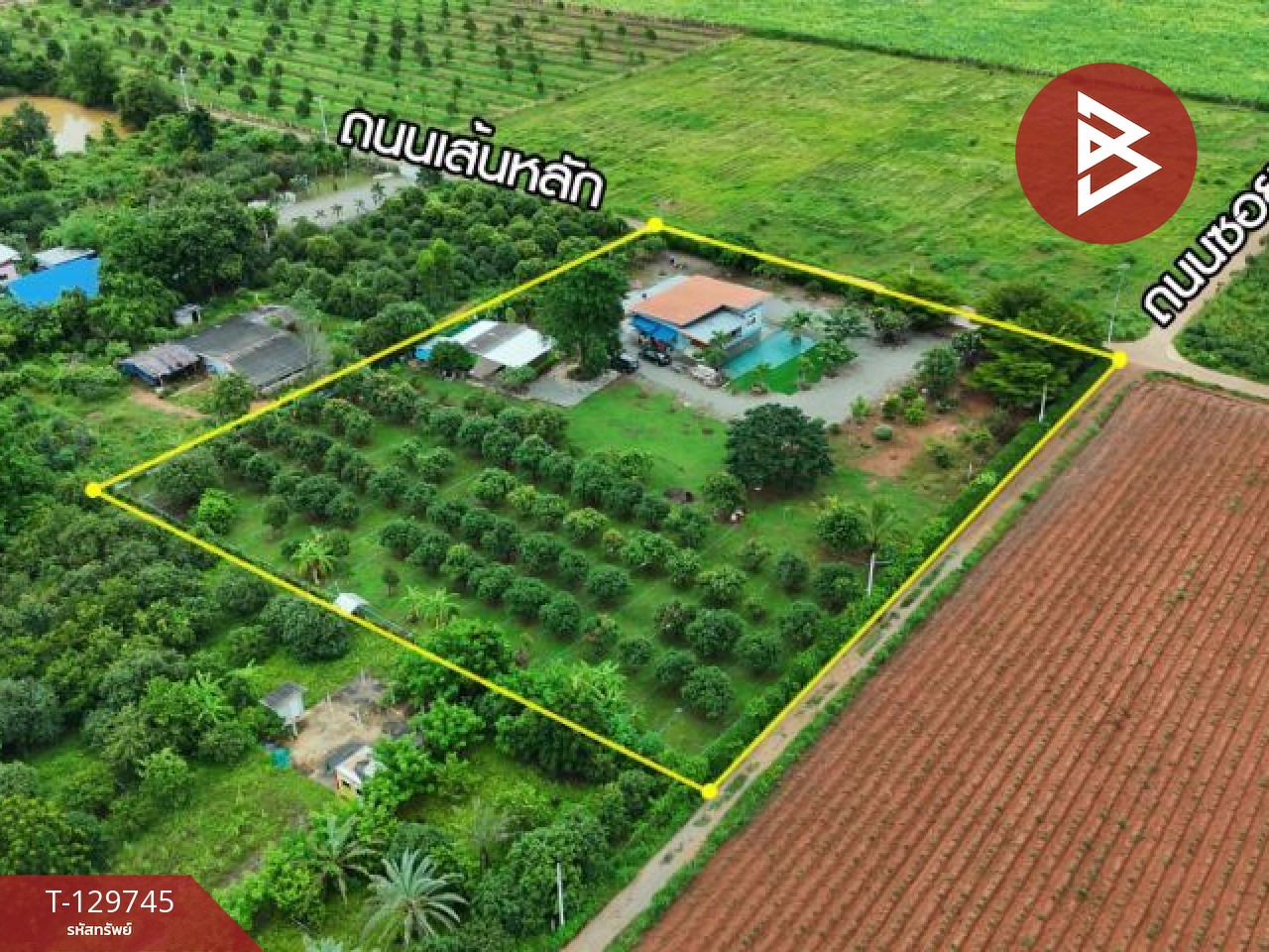 ขายบ้านเดี่ยวพร้อมสวน เนื้อที่ 4 ไร่ โพธาราม ราชบุรี 1