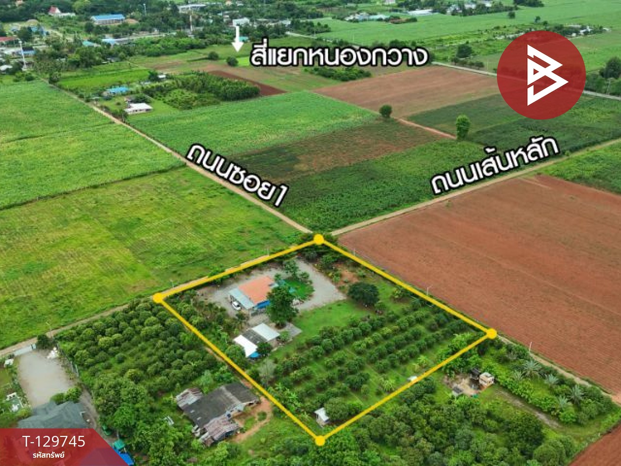 ขายบ้านเดี่ยวพร้อมสวน เนื้อที่ 4 ไร่ โพธาราม ราชบุรี 5