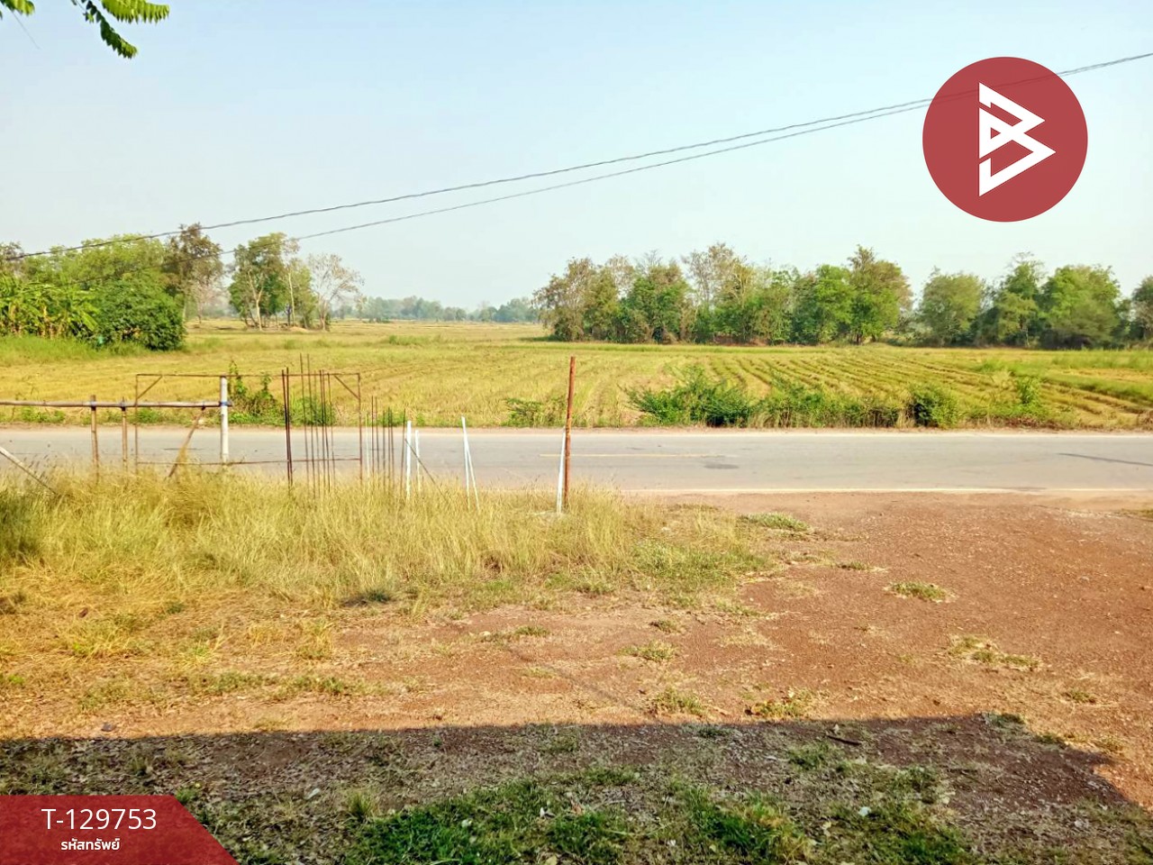 ขายบ้านเดี่ยวพร้อมที่ดิน เนื้อที่ 3 ไร่ 53 ตร.วา กงไกรลาศ สุโขทัย 6