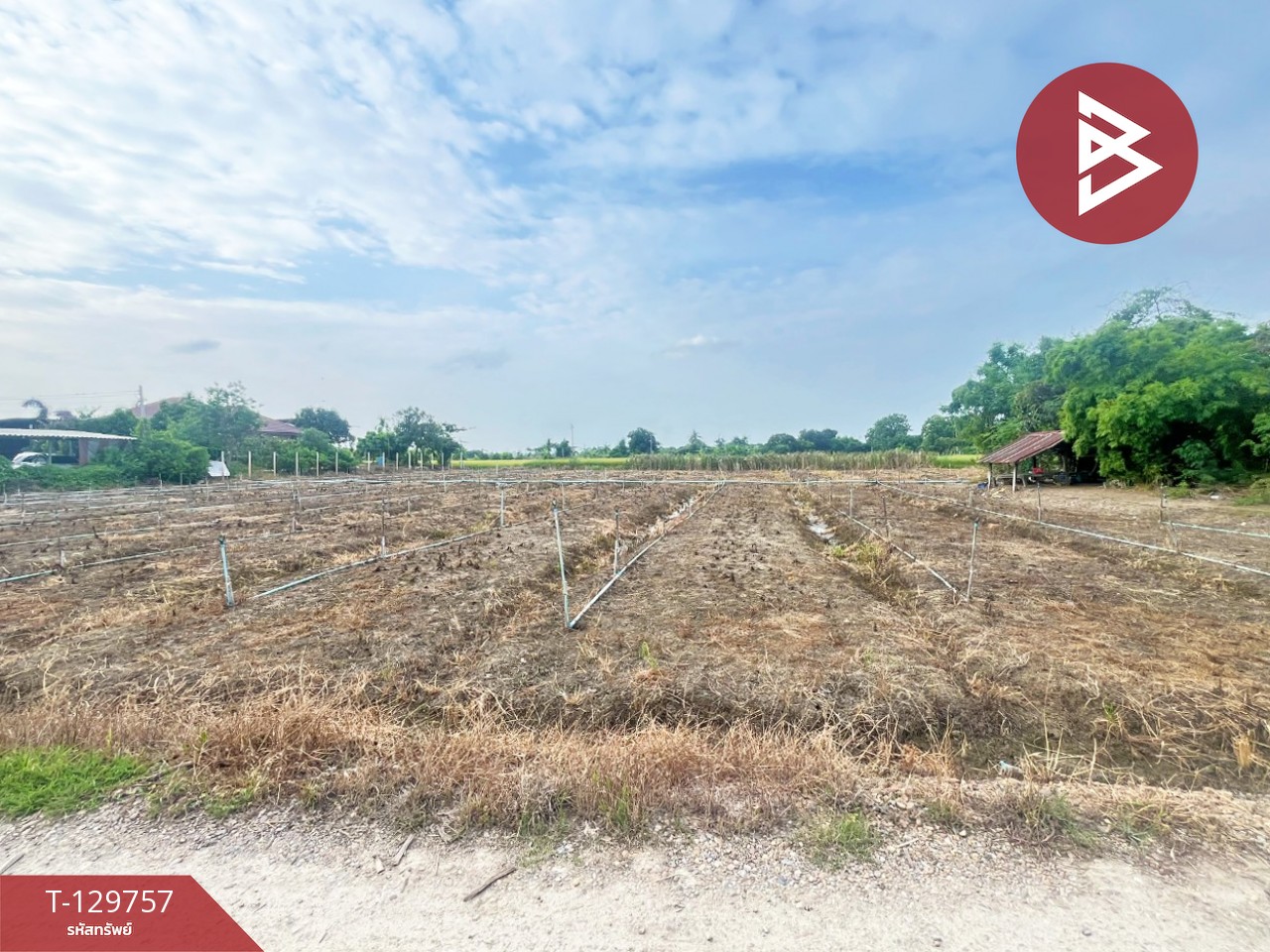 ขายที่ดิน เนื้อที่ 4 ไร่ 3 งาน 3 ตร.วา ดอนตูม นครปฐม 4