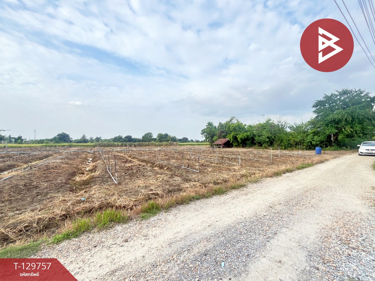 ขายที่ดิน เนื้อที่ 4 ไร่ 3 งาน 3 ตร.วา ดอนตูม นครปฐม 1