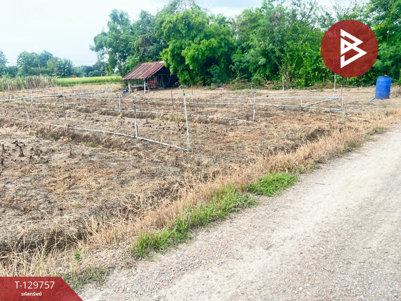 ขายที่ดิน เนื้อที่ 4 ไร่ 3 งาน 3 ตร.วา ดอนตูม นครปฐม 5