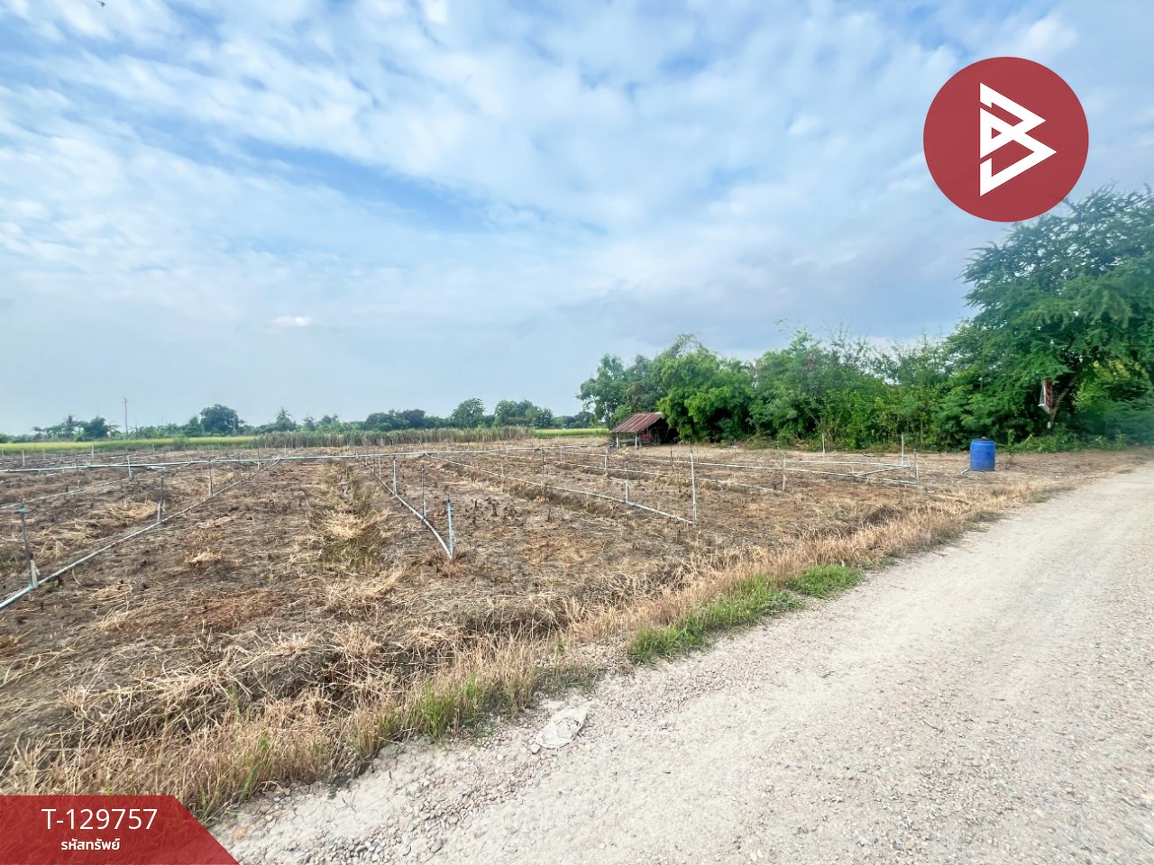 ขายที่ดิน เนื้อที่ 4 ไร่ 3 งาน 3 ตร.วา ดอนตูม นครปฐม 3