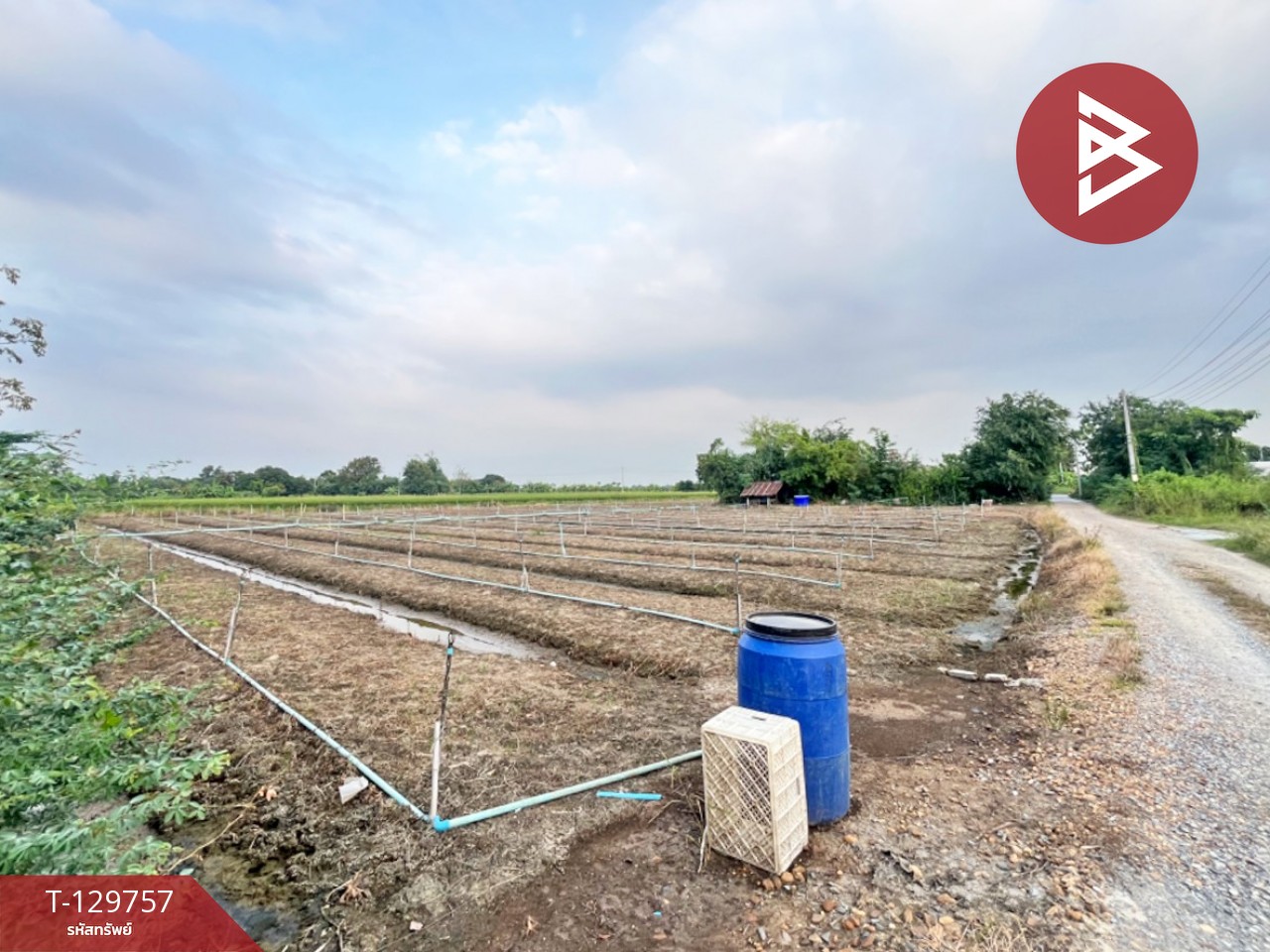 ขายที่ดิน เนื้อที่ 4 ไร่ 3 งาน 3 ตร.วา ดอนตูม นครปฐม 7