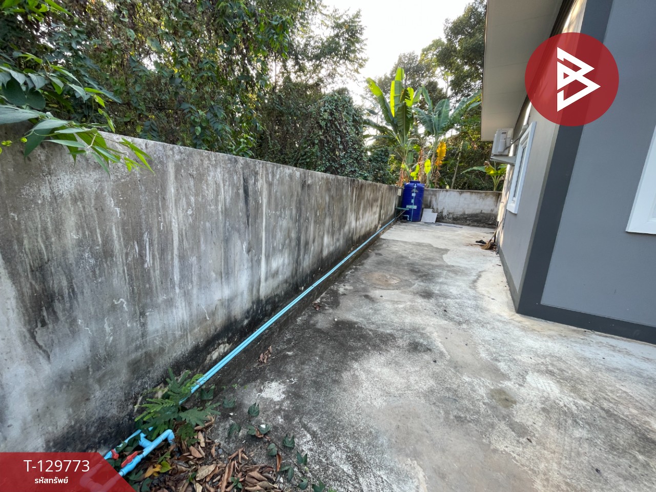 ขายที่ดินพร้อมสิ่งปลูกสร้าง เนื้อที่ 2 งาน 42 ตร.วา ไม้เค็ด ปราจีนบุรี 8