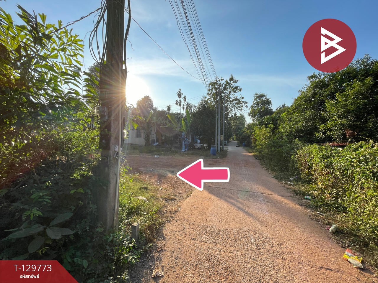 ขายที่ดินพร้อมสิ่งปลูกสร้าง เนื้อที่ 2 งาน 42 ตร.วา ไม้เค็ด ปราจีนบุรี 9