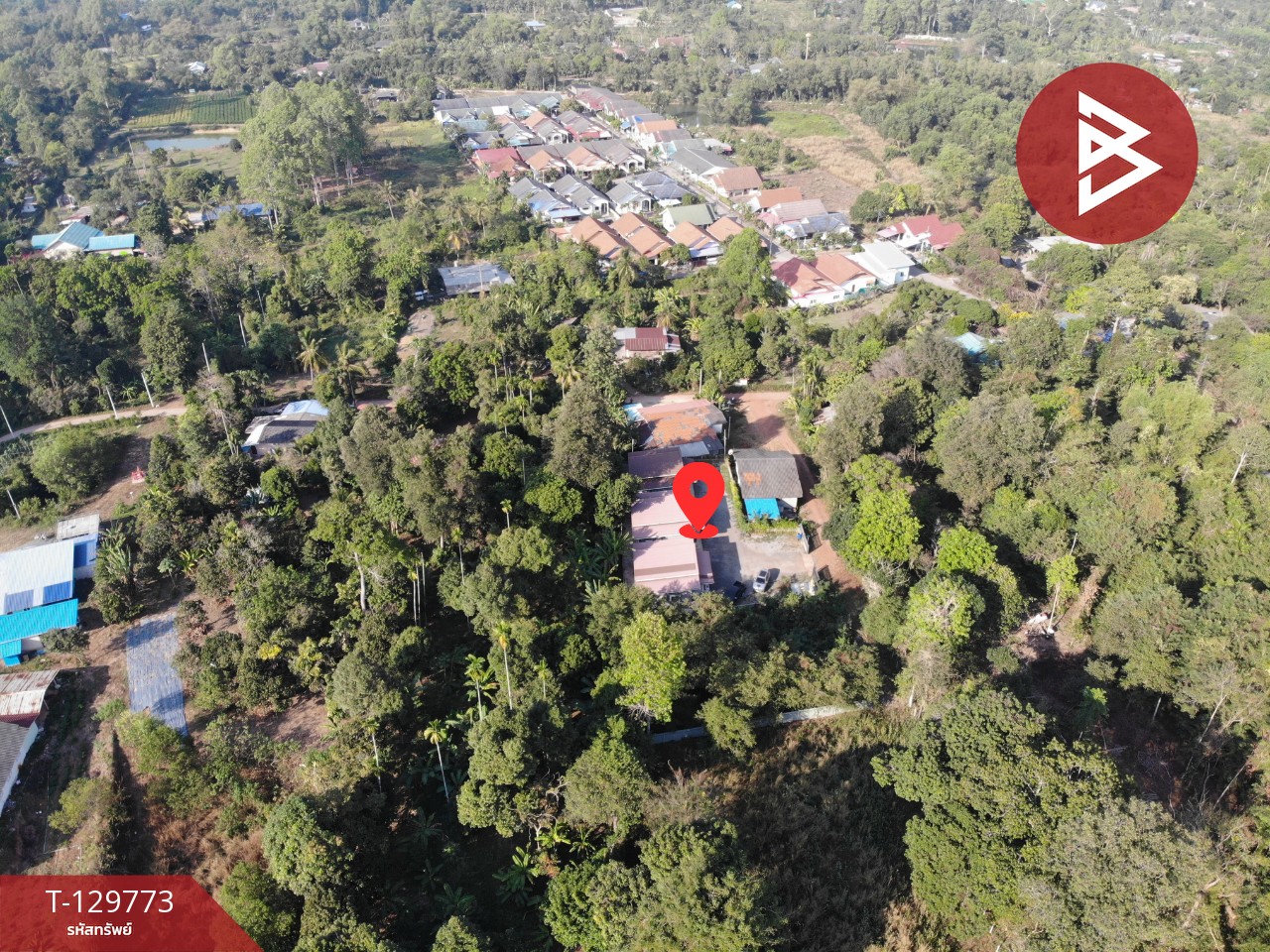 ขายที่ดินพร้อมสิ่งปลูกสร้าง เนื้อที่ 2 งาน 42 ตร.วา ไม้เค็ด ปราจีนบุรี 14