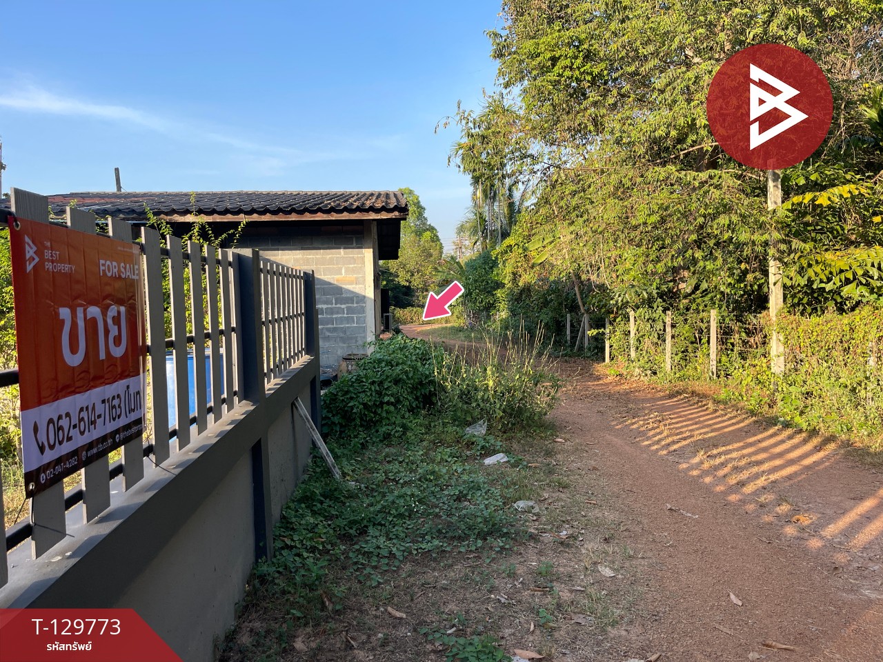 ขายที่ดินพร้อมสิ่งปลูกสร้าง เนื้อที่ 2 งาน 42 ตร.วา ไม้เค็ด ปราจีนบุรี 10