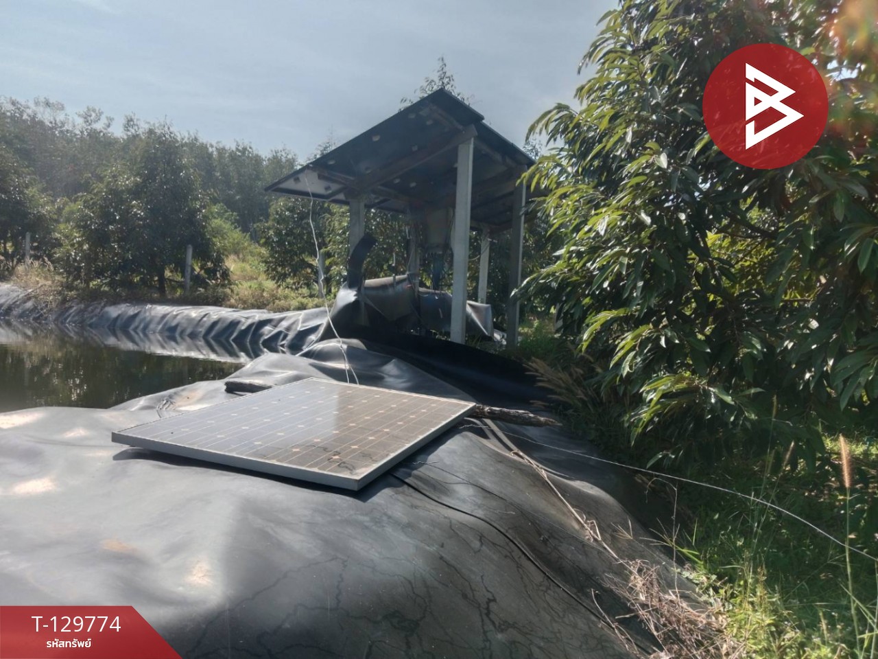 ขายที่ดิน เนื้อที่ 5 ไร่ แก่งหางแมว จันทบุรี 5