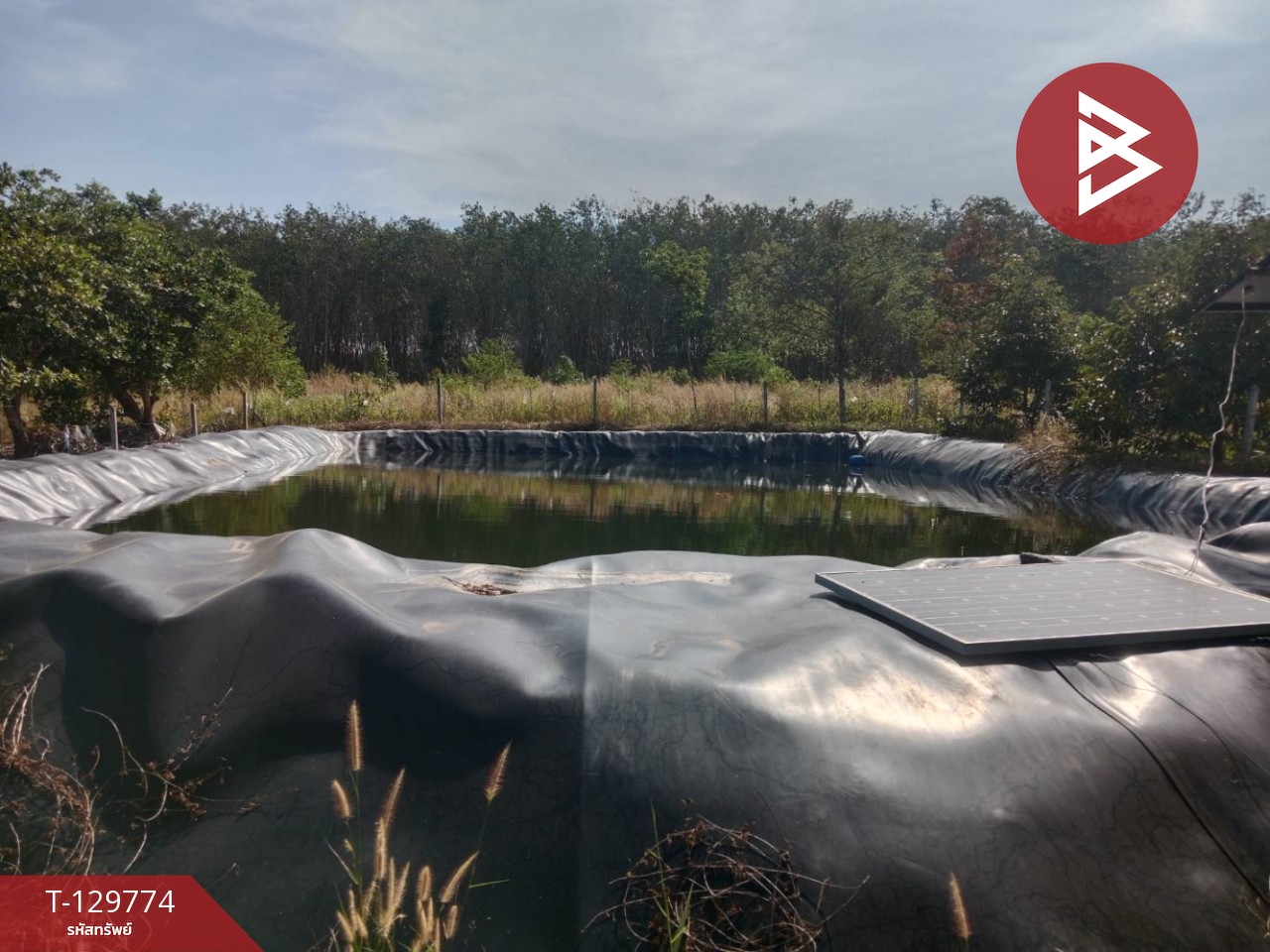 ขายที่ดิน เนื้อที่ 5 ไร่ แก่งหางแมว จันทบุรี 8