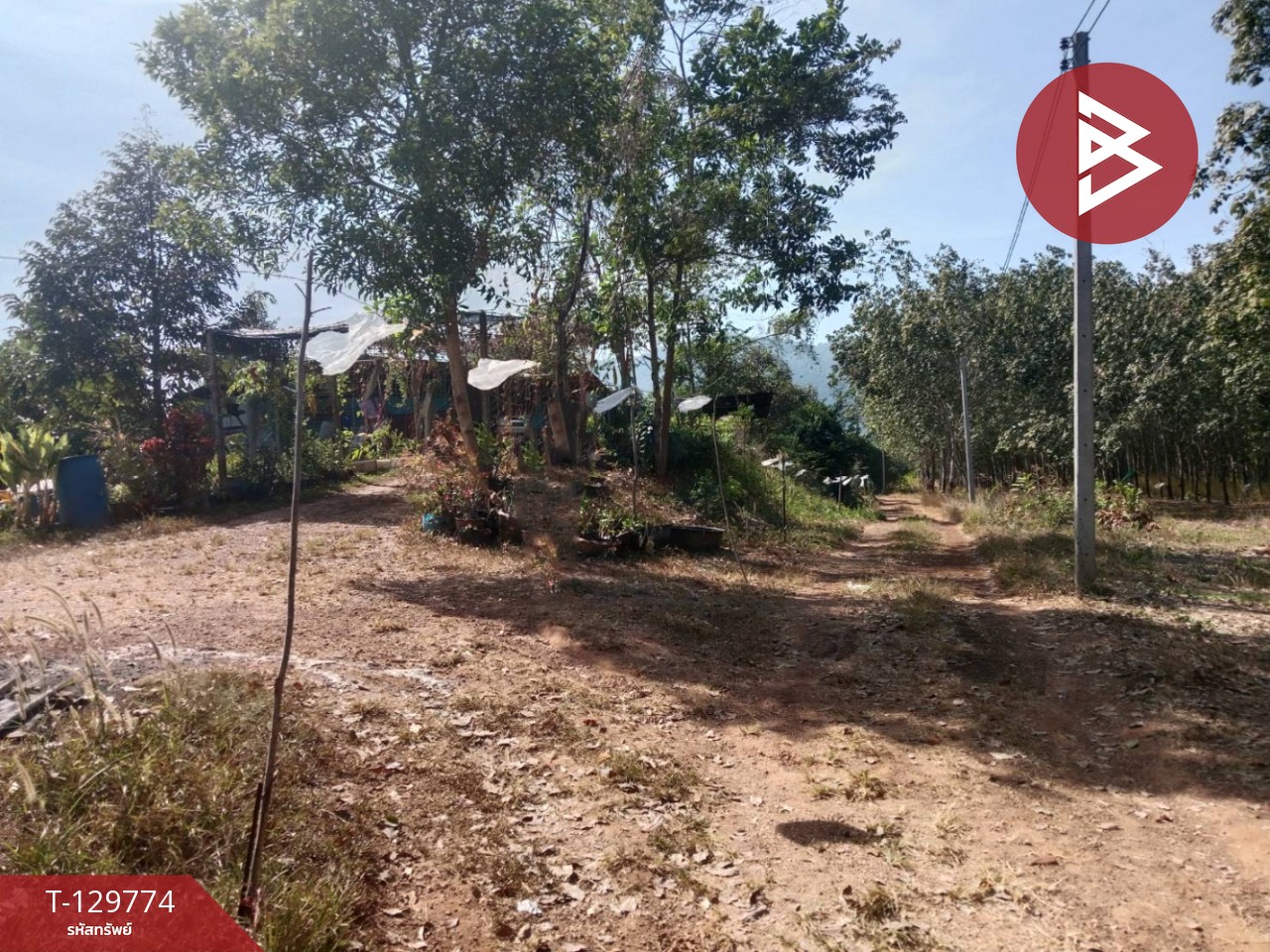 ขายที่ดิน เนื้อที่ 5 ไร่ แก่งหางแมว จันทบุรี 9