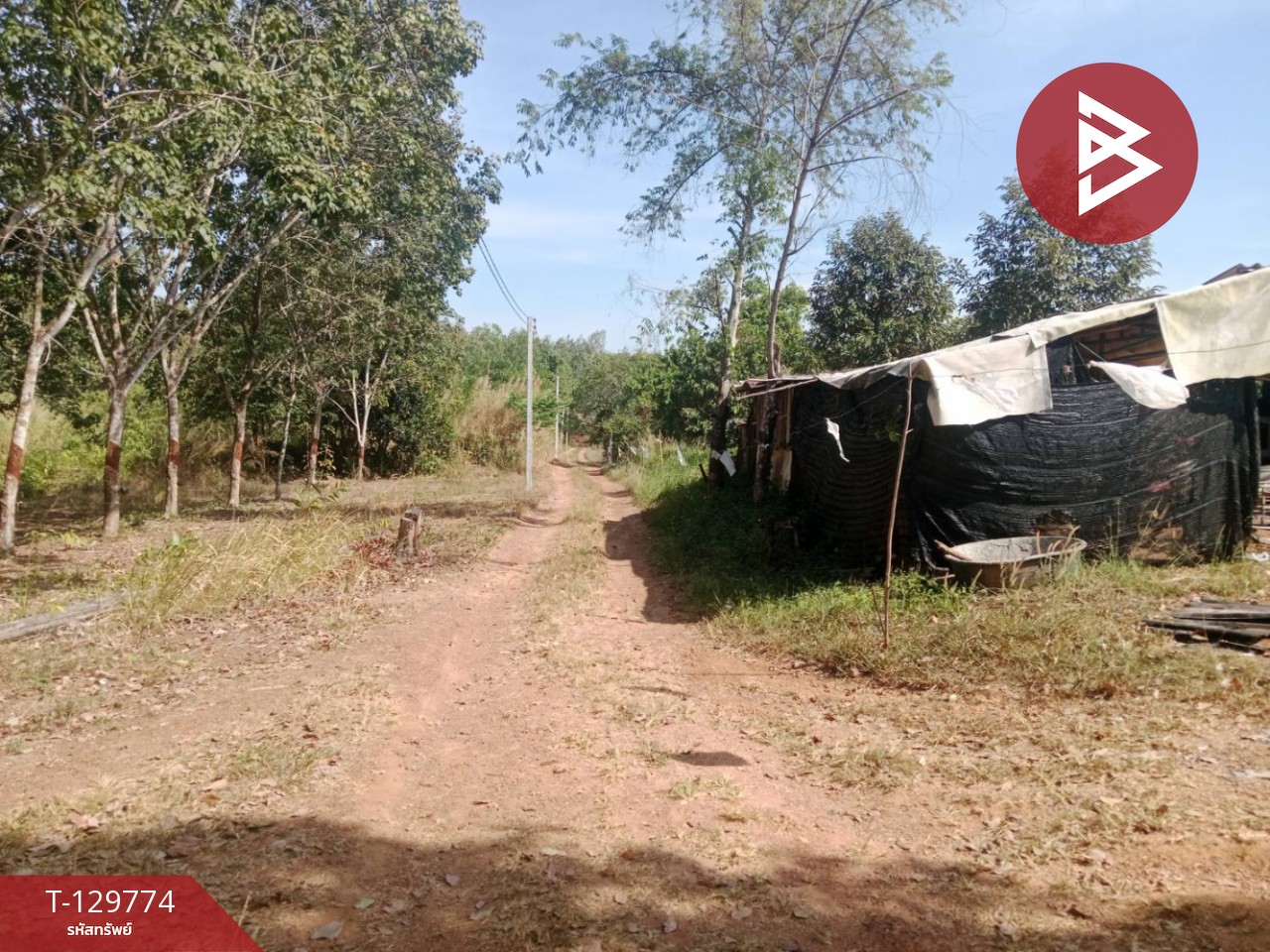 ขายที่ดิน เนื้อที่ 5 ไร่ แก่งหางแมว จันทบุรี 10