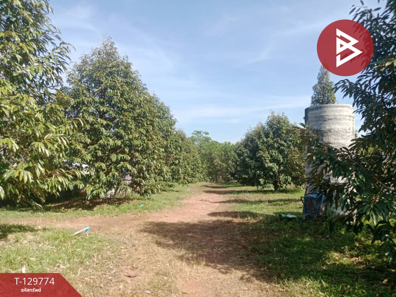 ขายที่ดิน เนื้อที่ 5 ไร่ แก่งหางแมว จันทบุรี 1