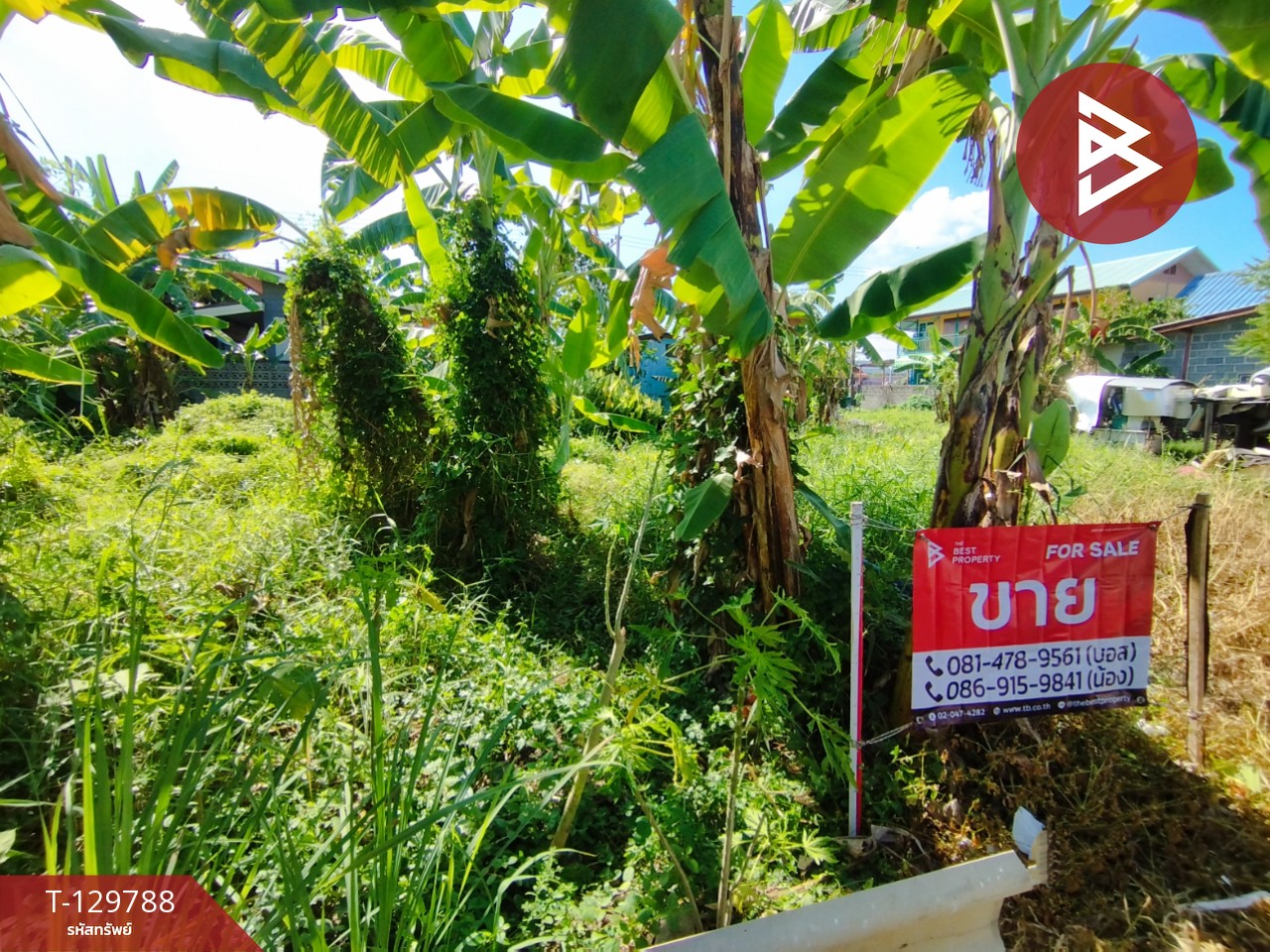 ขายที่ดิน เนื้อที่ 30.1 ตร.วา คลองหลวง ปทุมธานี 1