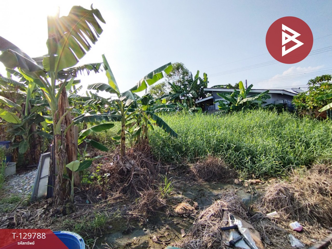 ขายที่ดิน เนื้อที่ 30.1 ตร.วา คลองหลวง ปทุมธานี 3