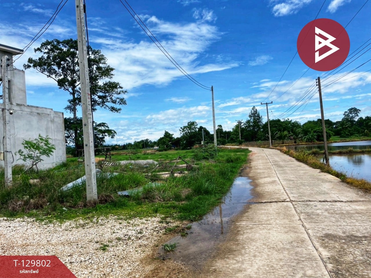 ขายบ้านเดี่ยว หมู่บ้านธนาสิริ อุทัยธานี อ.หนองฉาง จ.อุทัยธานี 4