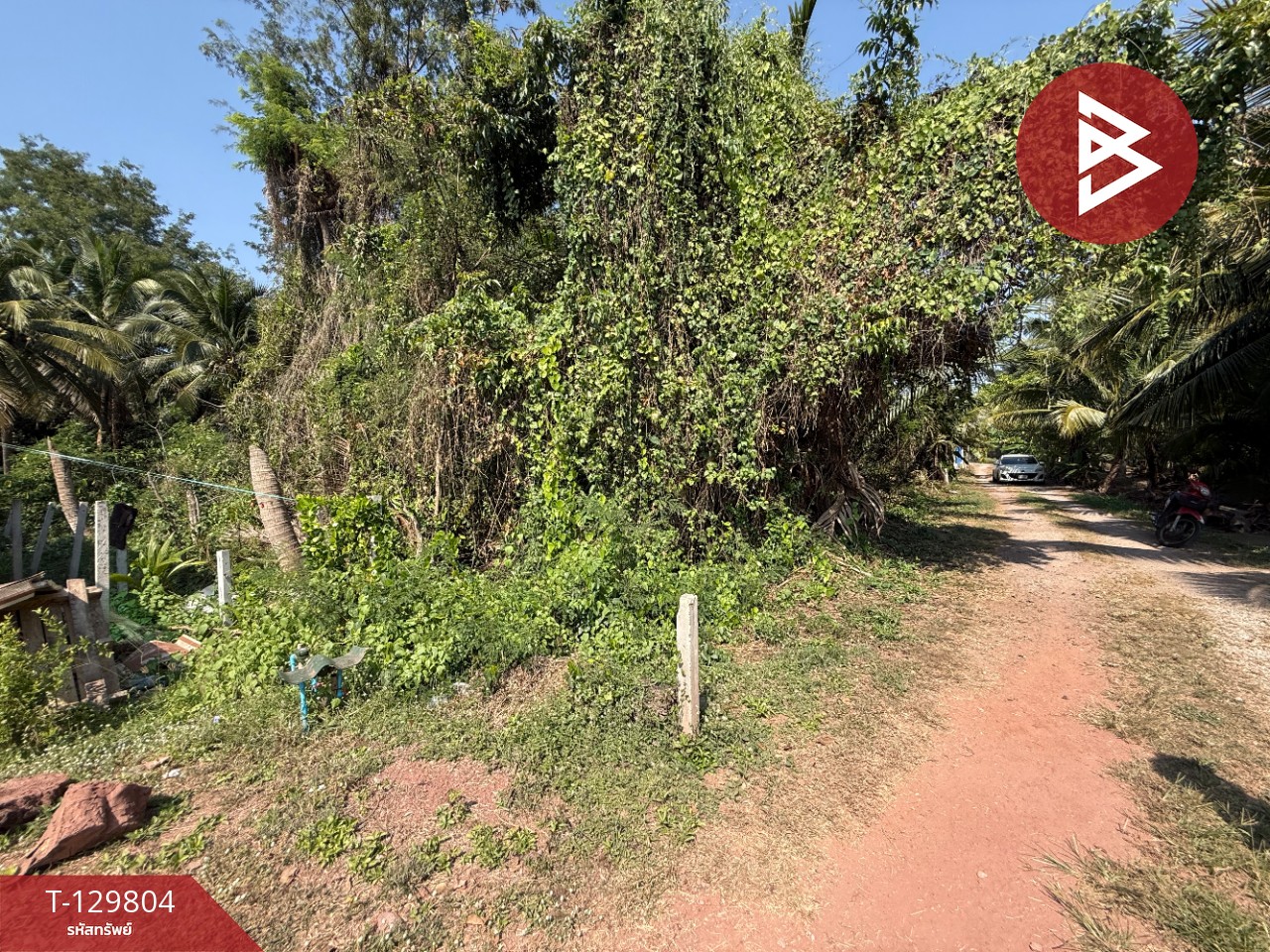 ขายที่ดิน เนื้อที่ 1 งาน 70 ตร.วา อัมพวา สมุทรสงคราม 4