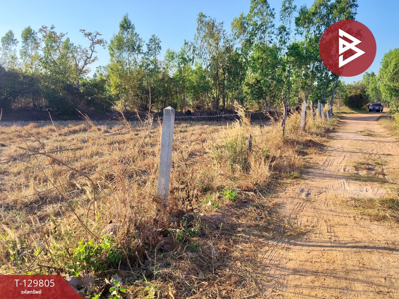 ขายที่ดิน เนื้อที่ 7 ไร่ 1 งาน 14 ตารางวา ต.สระคู อ.สุวรรณภูมิ จ.ร้อยเอ็ด 5