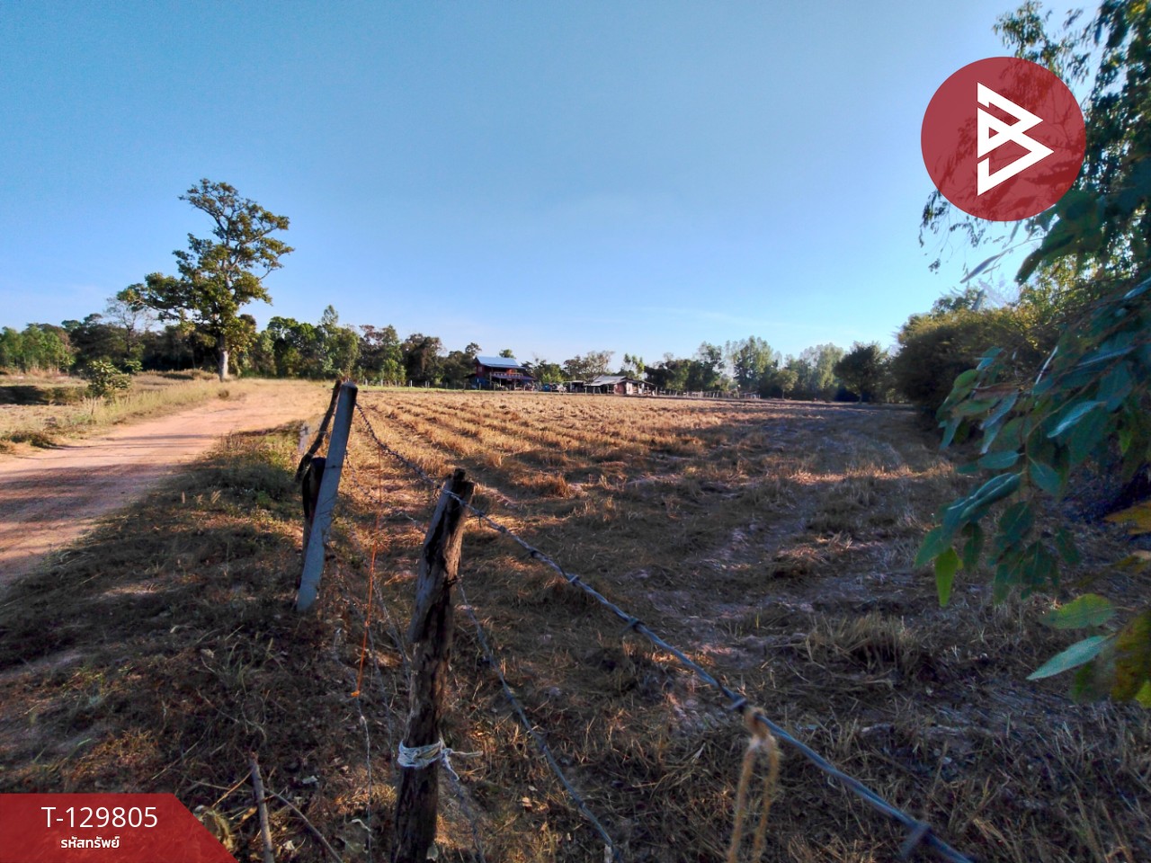 ขายที่ดิน เนื้อที่ 7 ไร่ 1 งาน 14 ตารางวา ต.สระคู อ.สุวรรณภูมิ จ.ร้อยเอ็ด 1