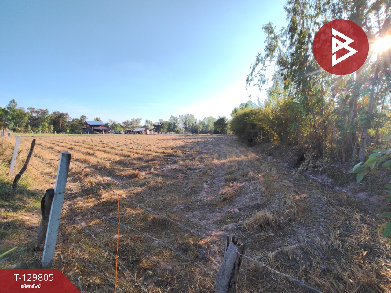 ขายที่ดิน เนื้อที่ 7 ไร่ 1 งาน 14 ตารางวา ต.สระคู อ.สุวรรณภูมิ จ.ร้อยเอ็ด 2