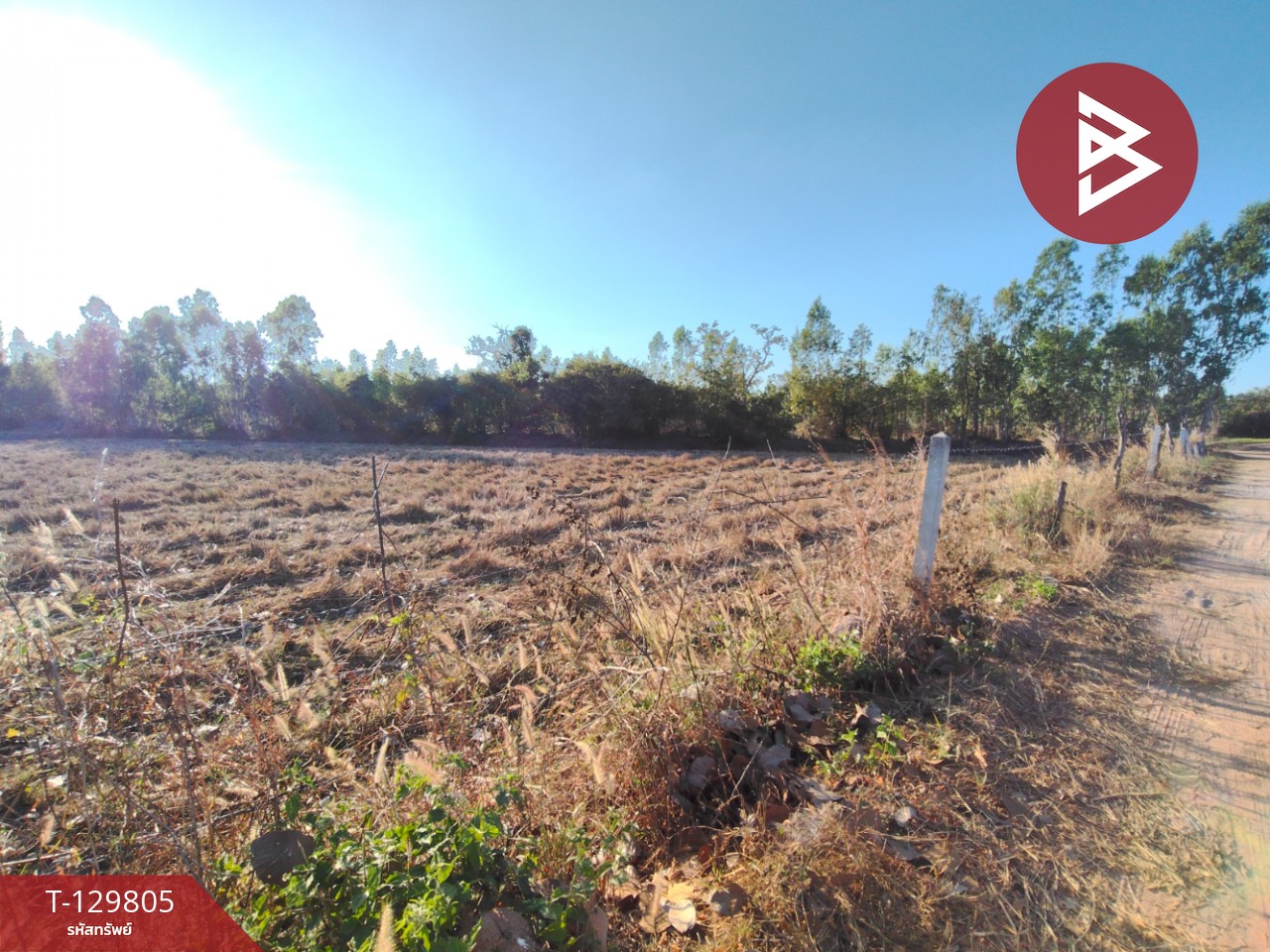 ขายที่ดิน เนื้อที่ 7 ไร่ 1 งาน 14 ตารางวา ต.สระคู อ.สุวรรณภูมิ จ.ร้อยเอ็ด 4