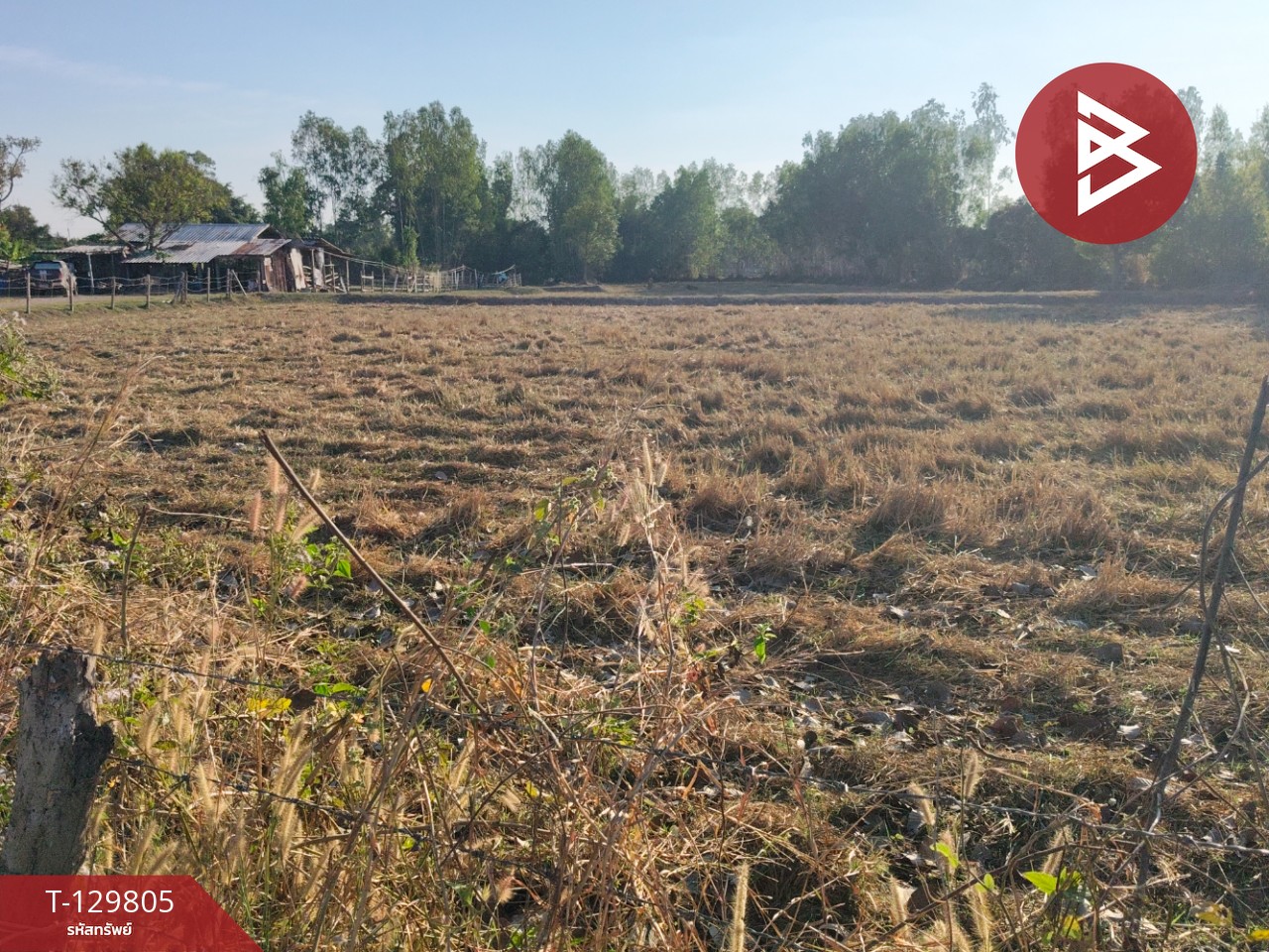 ขายที่ดิน เนื้อที่ 7 ไร่ 1 งาน 14 ตารางวา ต.สระคู อ.สุวรรณภูมิ จ.ร้อยเอ็ด 6