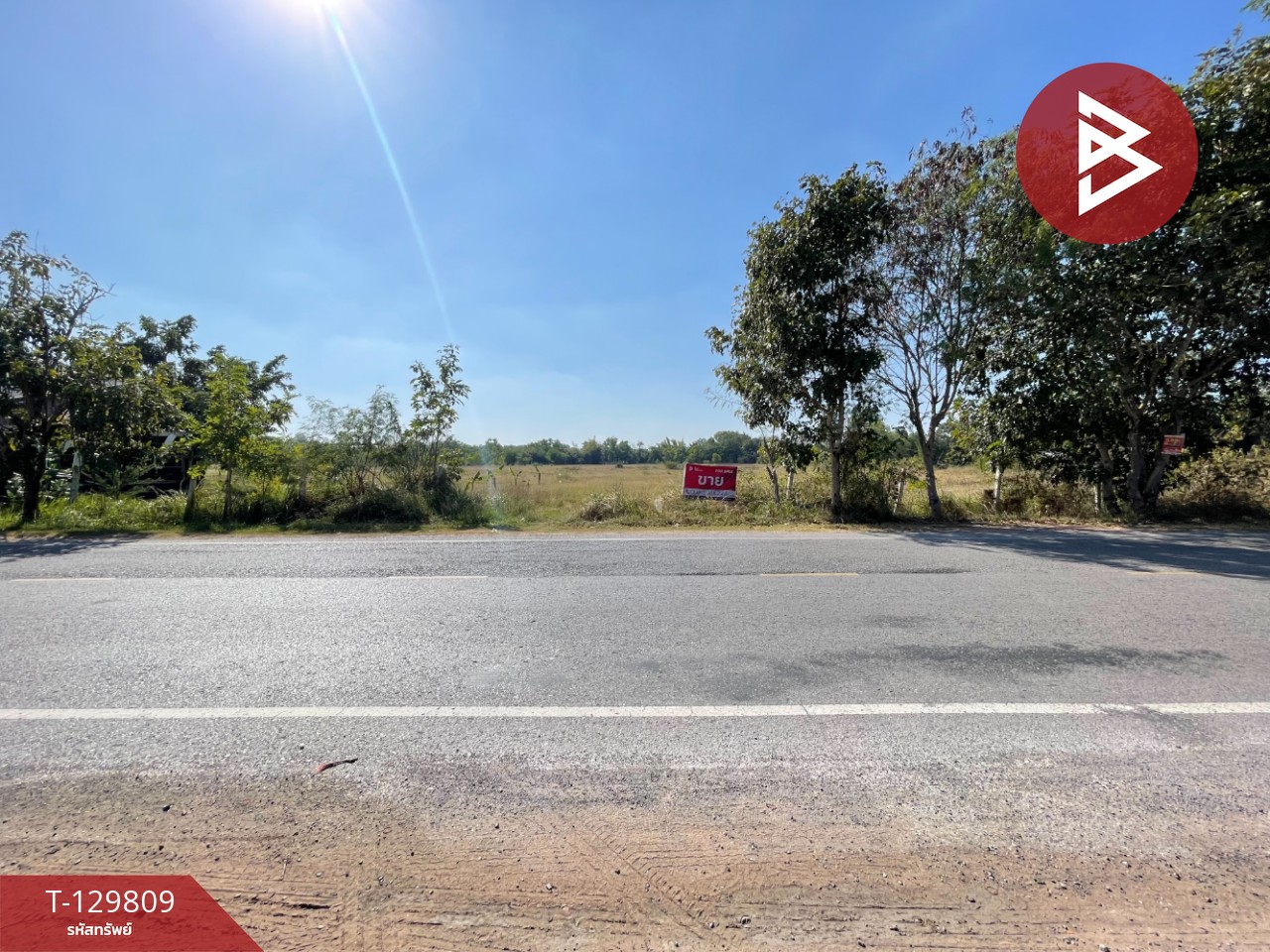 ขายที่ดินแปลงใหญ่ เนื้อที่ 26 ไร่ 3 งาน 98 ตารางวา อ.บ้านไผ่ จ.ขอนแก่น ติดคลองสาธารณะ 5