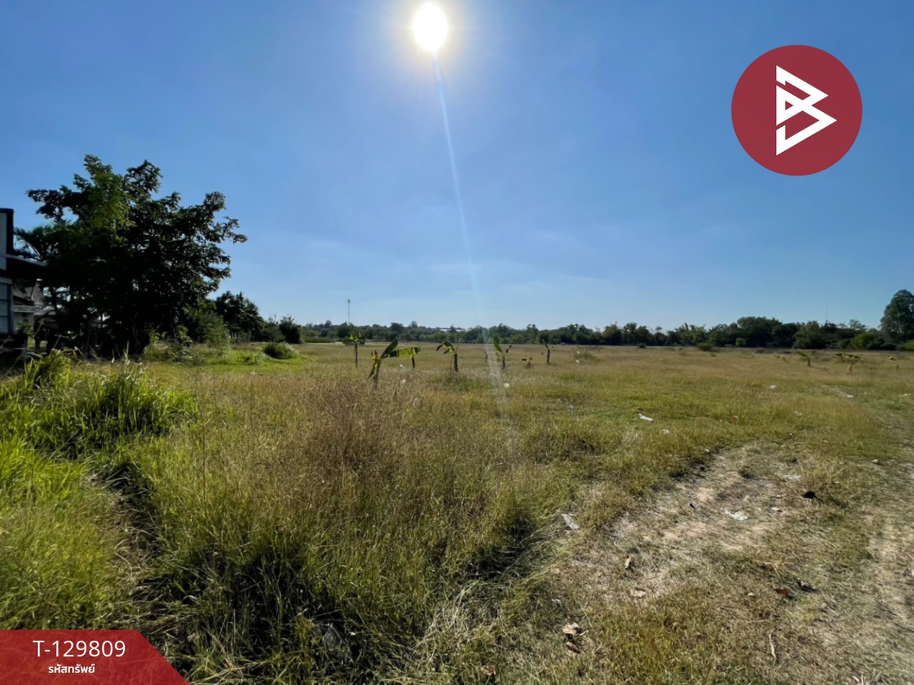 ขายที่ดินแปลงใหญ่ เนื้อที่ 26 ไร่ 3 งาน 98 ตารางวา อ.บ้านไผ่ จ.ขอนแก่น ติดคลองสาธารณะ 3