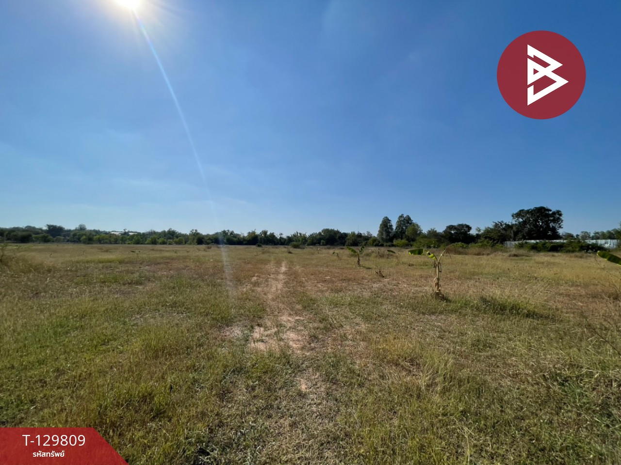 ขายที่ดินแปลงใหญ่ เนื้อที่ 26 ไร่ 3 งาน 98 ตารางวา อ.บ้านไผ่ จ.ขอนแก่น ติดคลองสาธารณะ 4