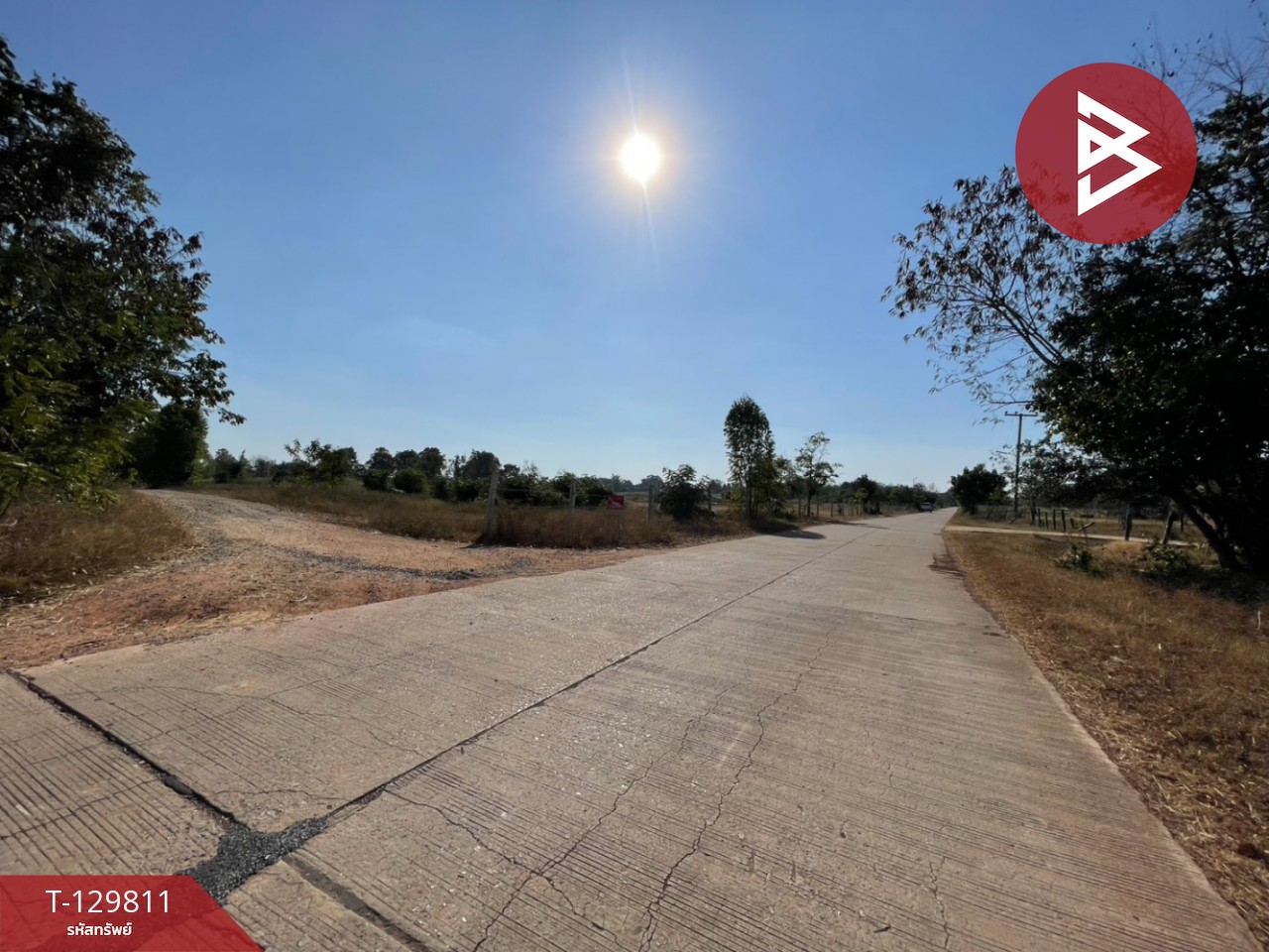 ขายที่ดิน เนื้อที่ 4 ไร่ 72.9 ตร.วา โนนศิลา ขอนแก่น 8