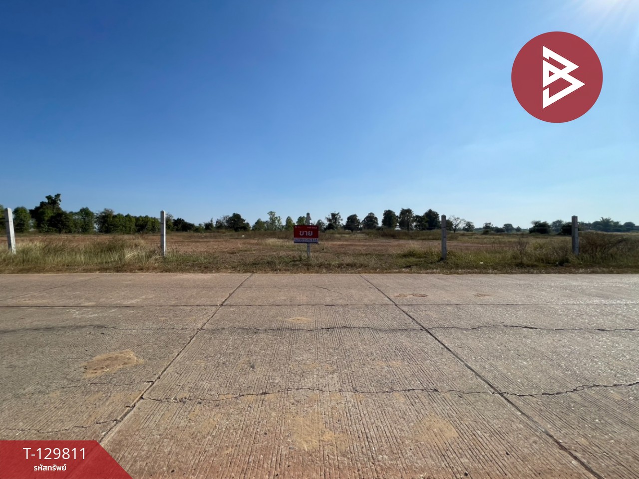 ขายที่ดิน เนื้อที่ 4 ไร่ 72.9 ตร.วา โนนศิลา ขอนแก่น 4