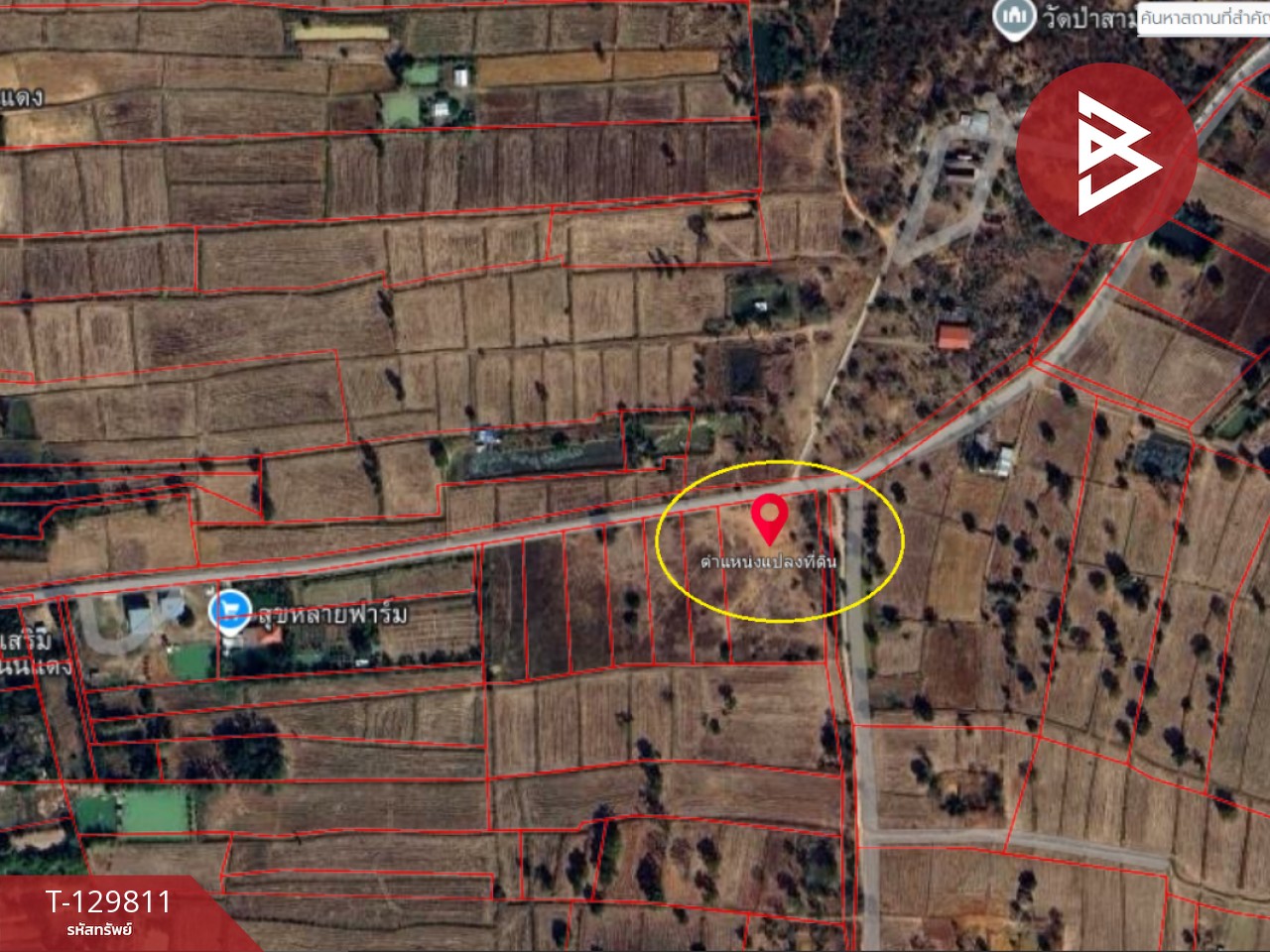 ขายที่ดิน เนื้อที่ 4 ไร่ 72.9 ตร.วา โนนศิลา ขอนแก่น 10