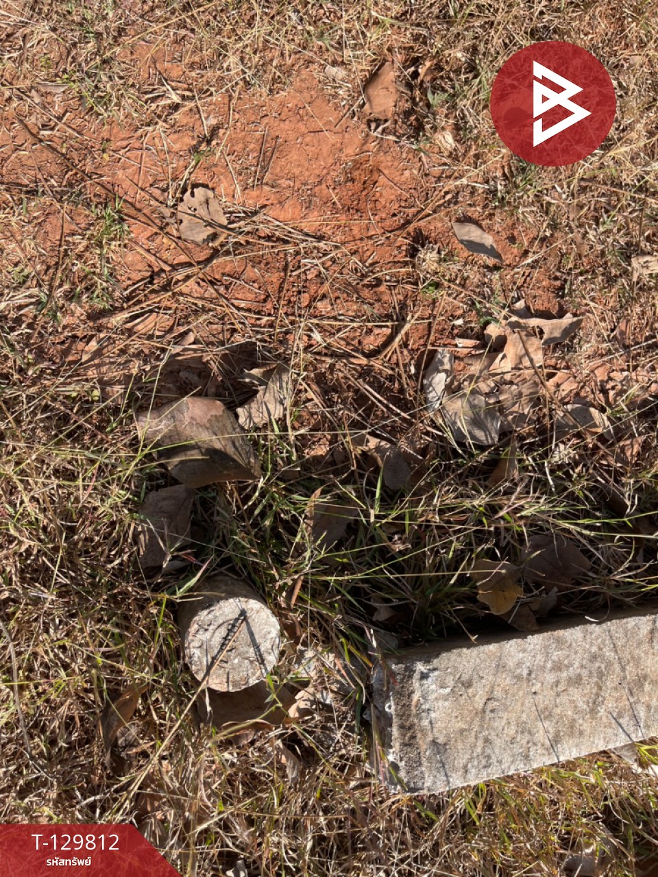 ขายที่ดิน เนื้อที่ 1 ไร่ 2 งาน โนนศิลา ขอนแก่น 13