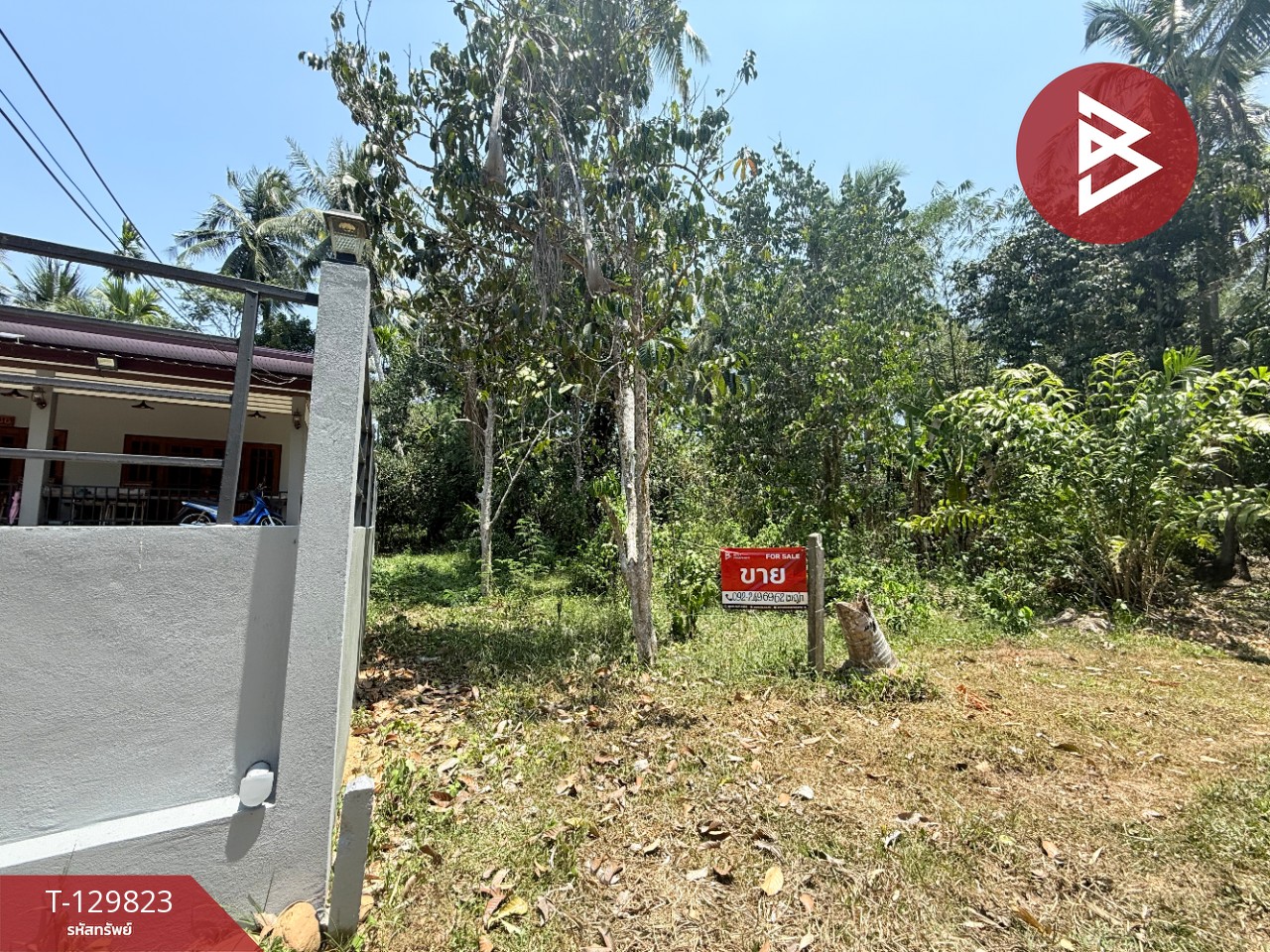 ขายที่ดินเปล่า เนื้อที่ 1 งาน 73 ตารางวา นาชะอัง ชุมพร 7