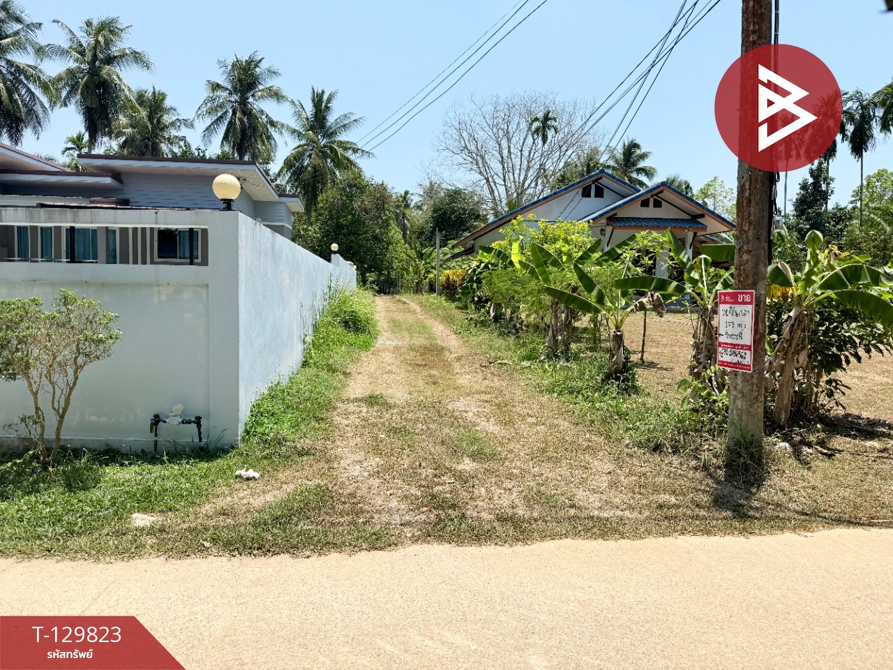ขายที่ดินเปล่า เนื้อที่ 1 งาน 73 ตารางวา นาชะอัง ชุมพร 6