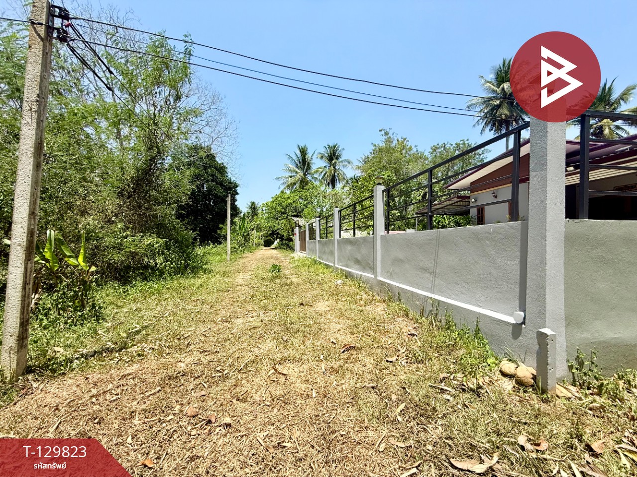 ขายที่ดินเปล่า เนื้อที่ 1 งาน 73 ตารางวา นาชะอัง ชุมพร 2