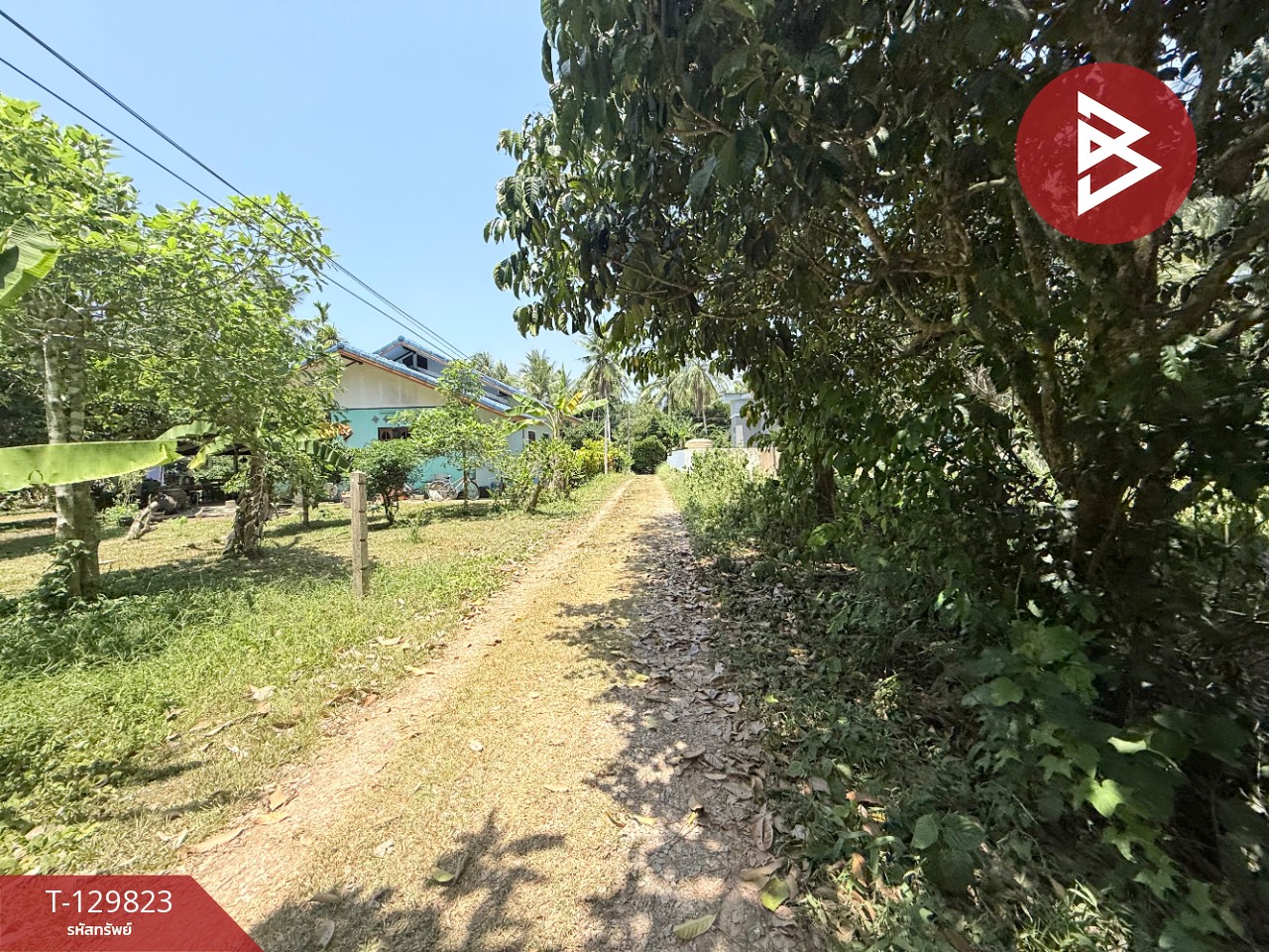 ขายที่ดินเปล่า เนื้อที่ 1 งาน 73 ตารางวา นาชะอัง ชุมพร 1