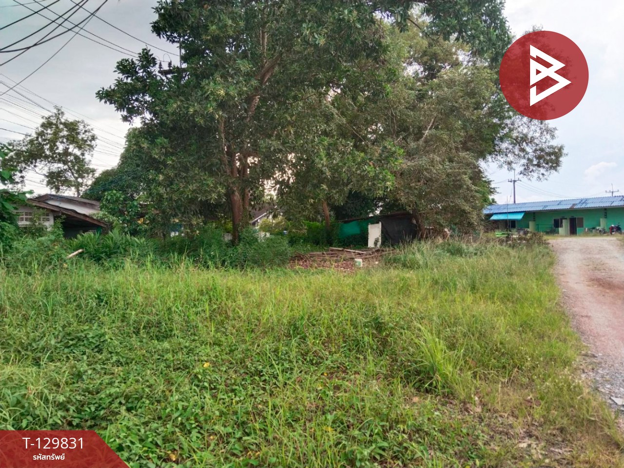 ขายที่ดิน เนื้อที่ 2 ไร่ 13.9 ตารางวา เกาะขวาง จันทบุรี 4