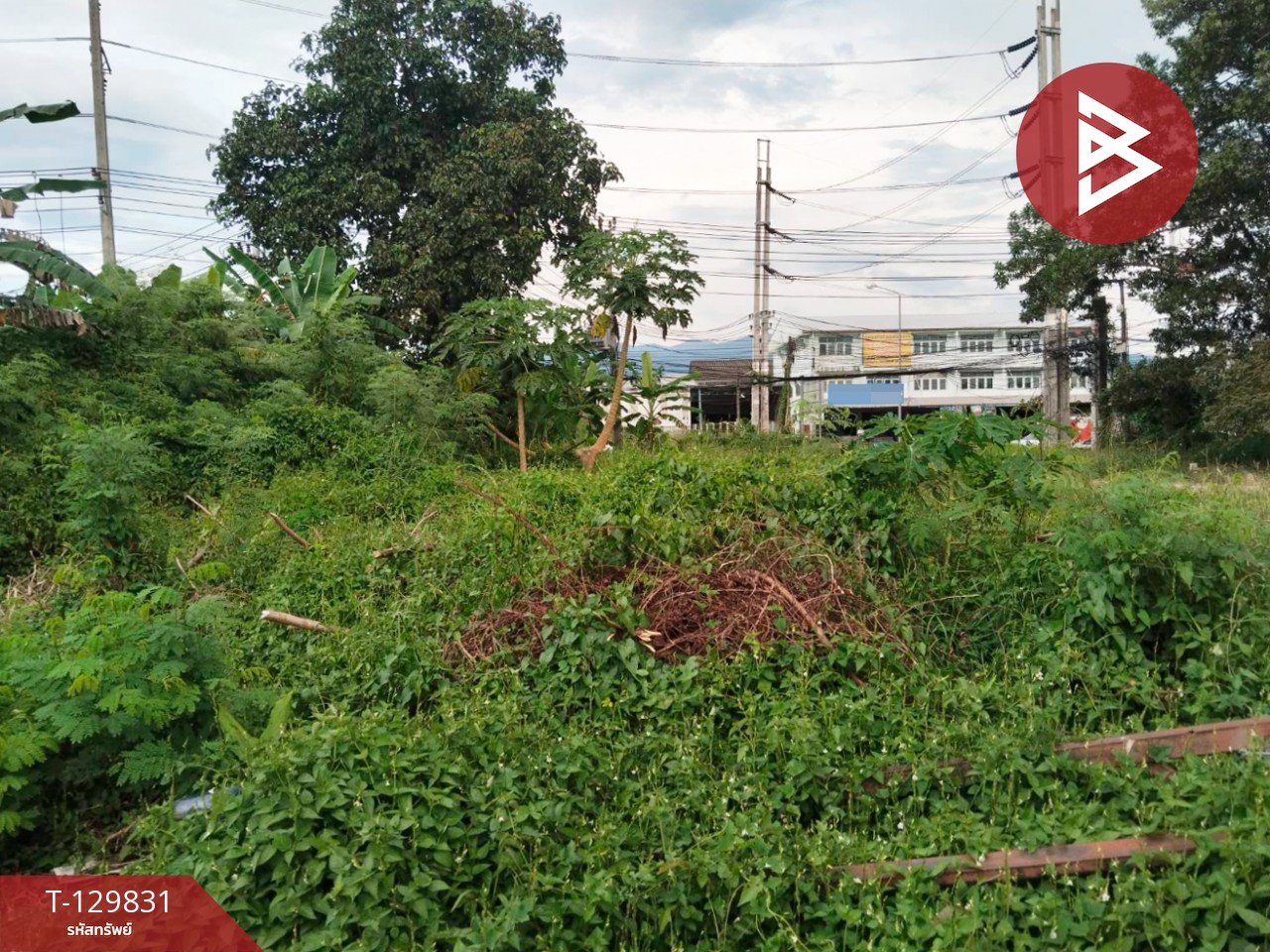 ขายที่ดิน เนื้อที่ 2 ไร่ 13.9 ตารางวา เกาะขวาง จันทบุรี 2