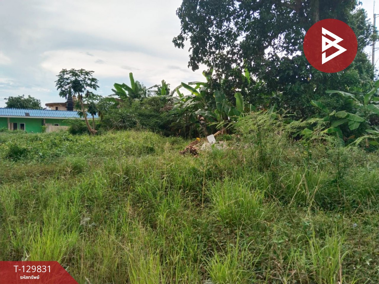 ขายที่ดิน เนื้อที่ 2 ไร่ 13.9 ตารางวา เกาะขวาง จันทบุรี 1