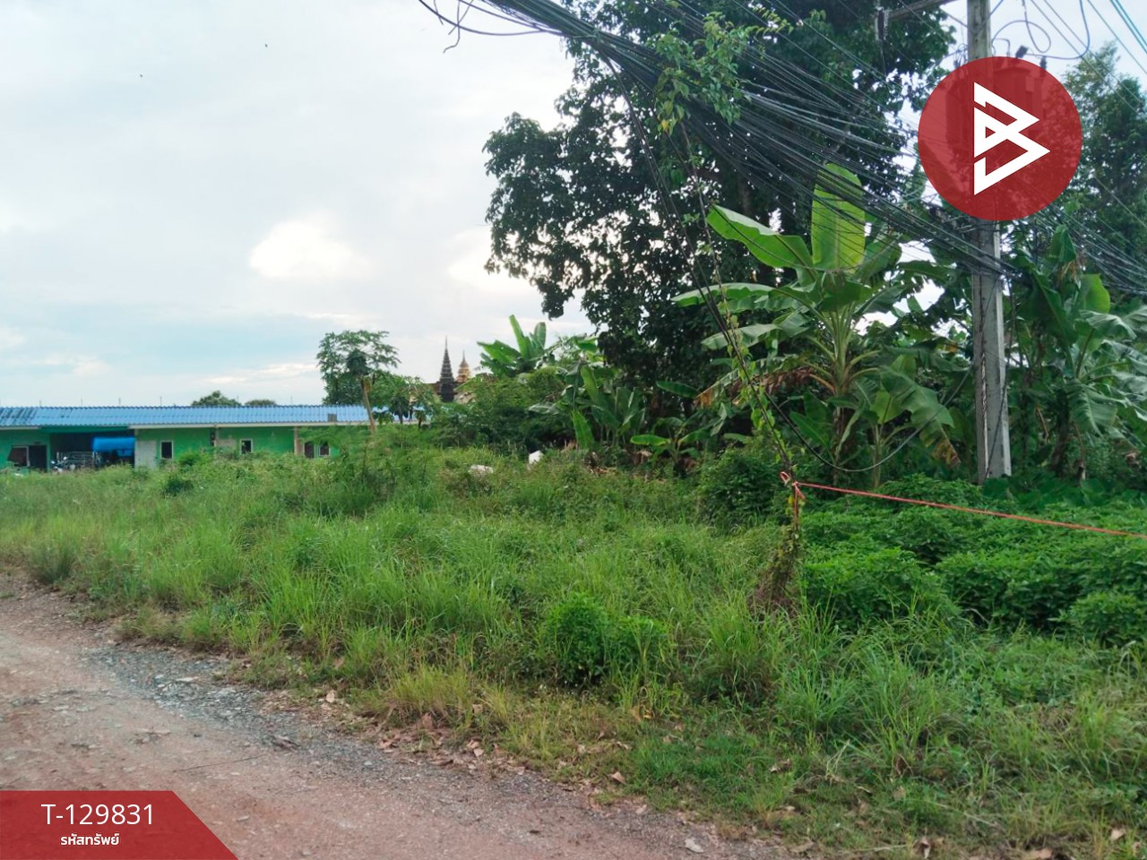 ขายที่ดิน เนื้อที่ 2 ไร่ 13.9 ตารางวา เกาะขวาง จันทบุรี 6