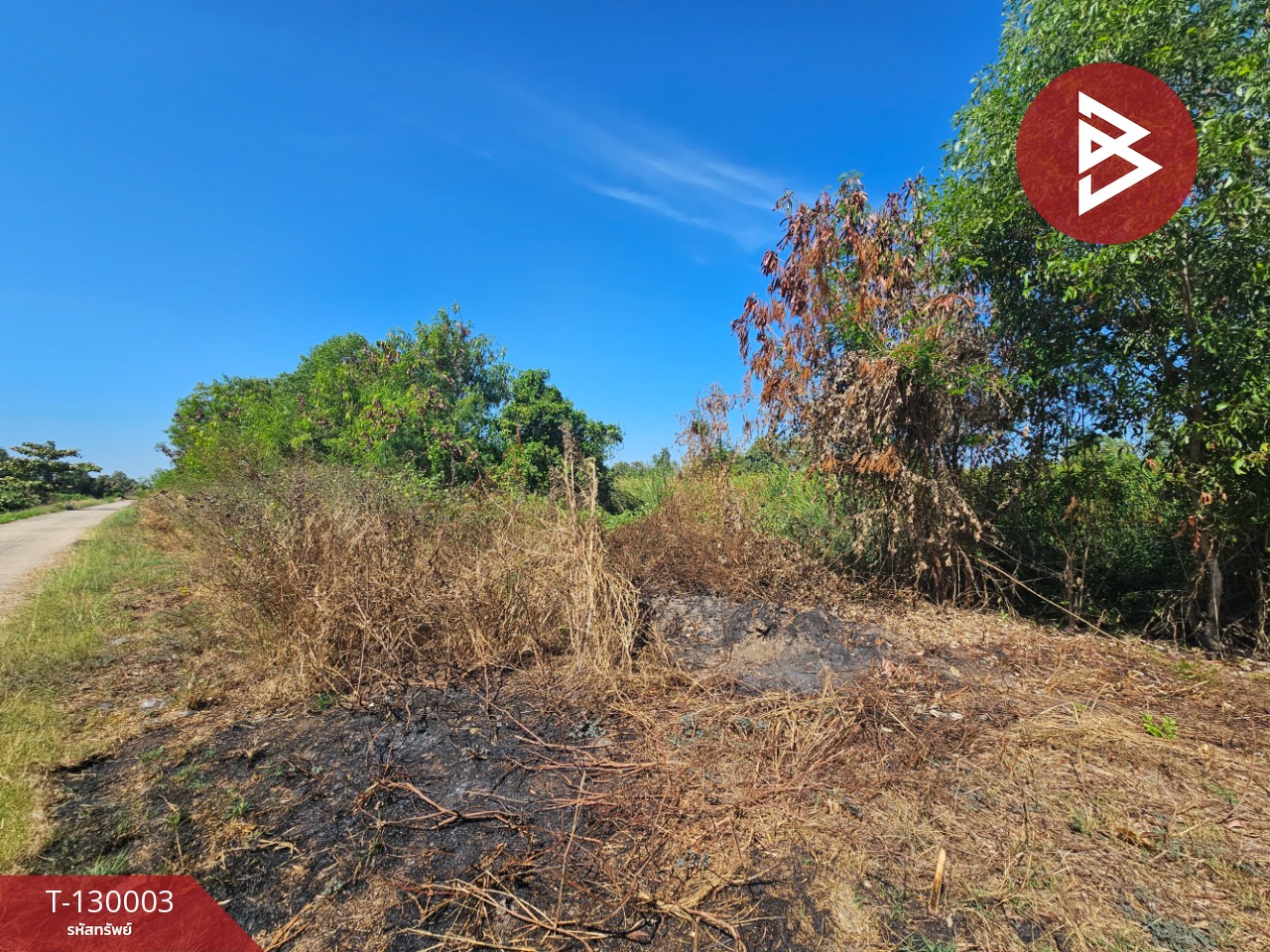 ขายที่ดินแปลงใหญ่ เนื้อที่ 148 ไร่ 2 งาน 10.3 ตร.วา บ้านโพธิ์ ฉะเชิงเทรา 1