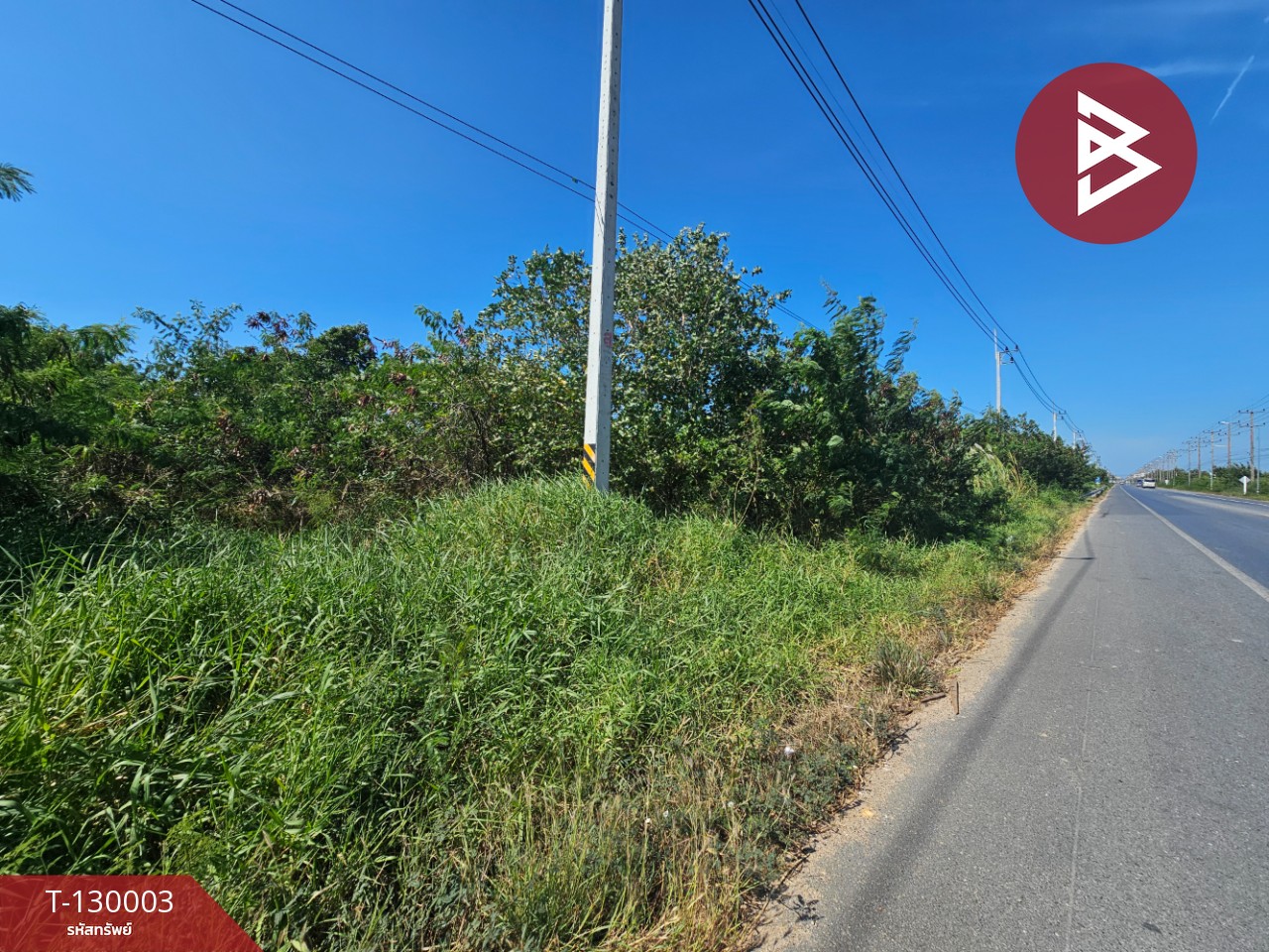 ขายที่ดินแปลงใหญ่ เนื้อที่ 148 ไร่ 2 งาน 10.3 ตร.วา บ้านโพธิ์ ฉะเชิงเทรา 3